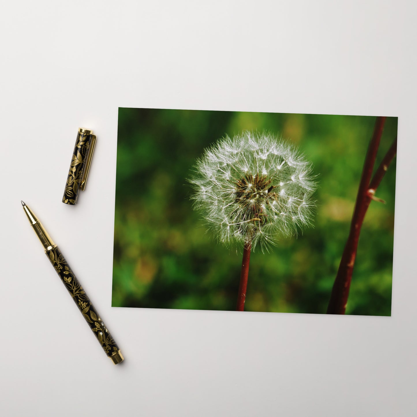 Greeting card - Dandelion Wish
