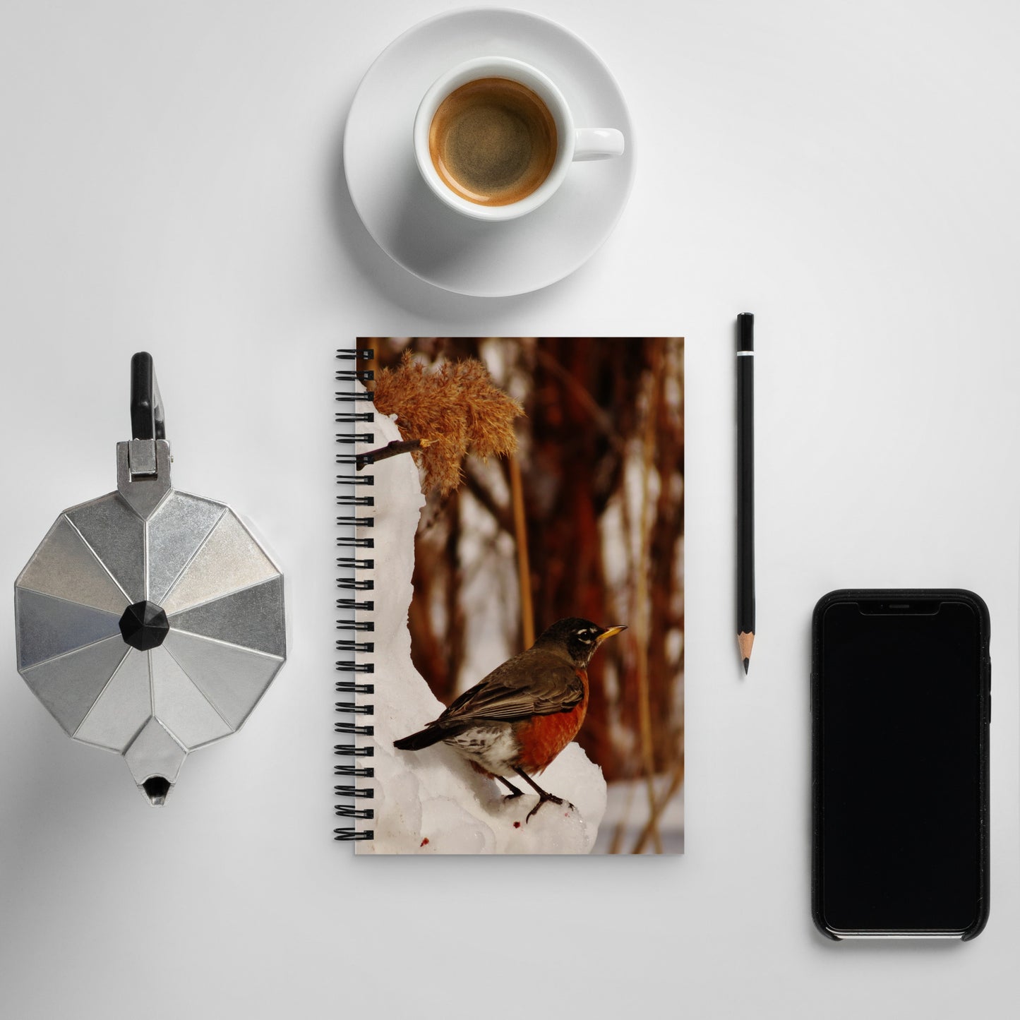 Spiral notebook- Snowman & Robin