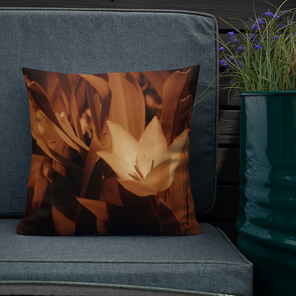 Premium Pillow - Sepia Opened Tulip