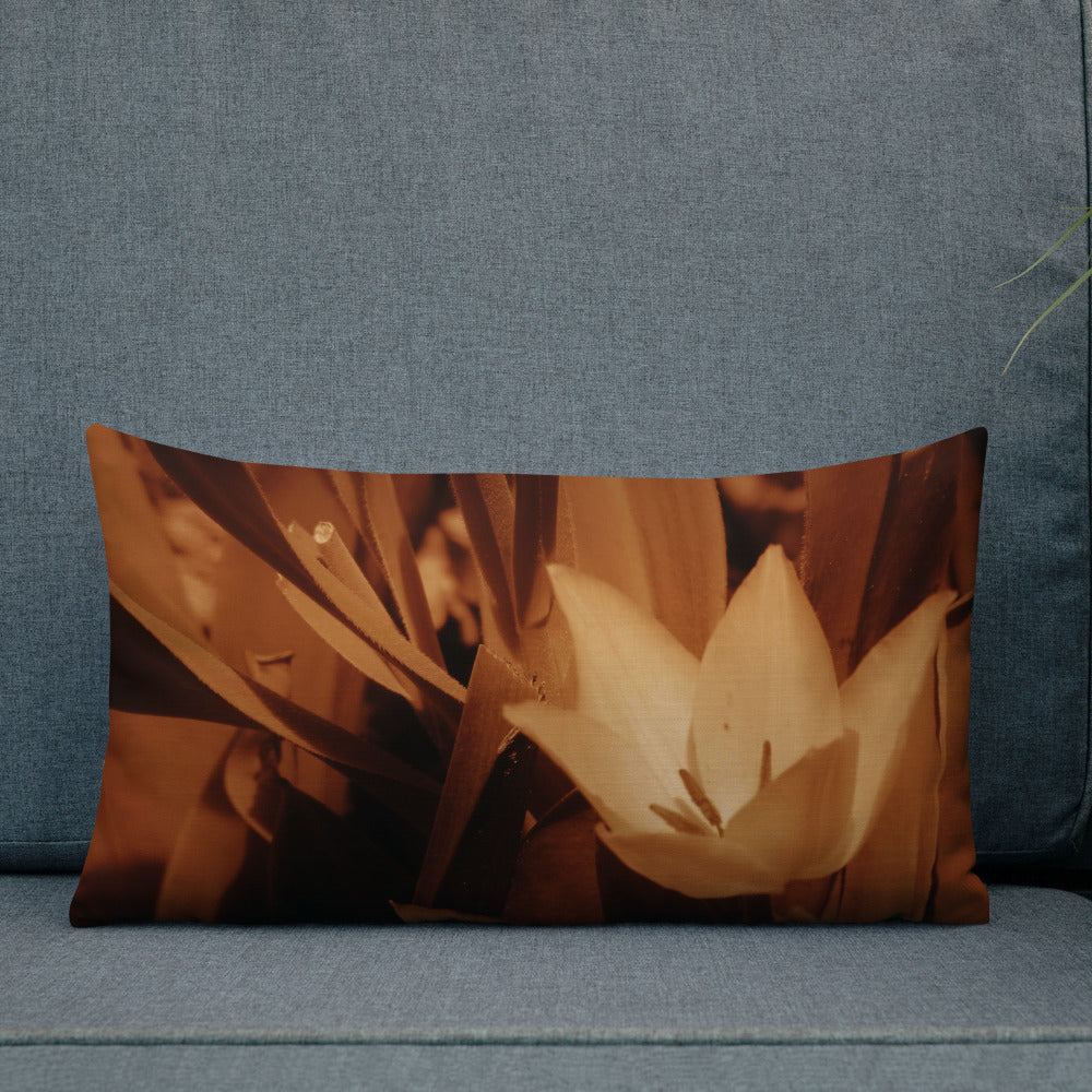 Premium Pillow - Sepia Opened Tulip