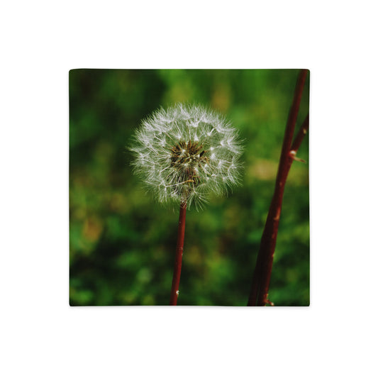 Premium Pillow Case - Dandelion Wish