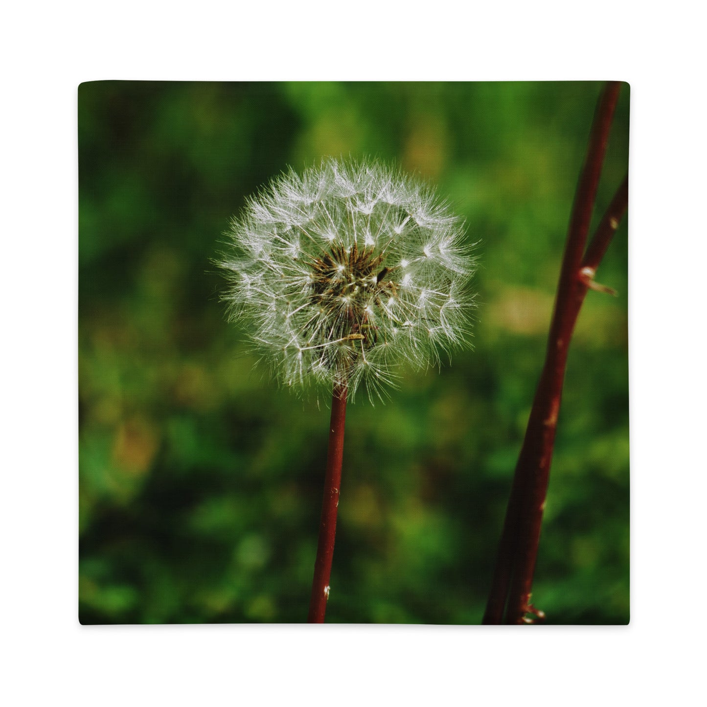 Premium Pillow Case - Dandelion Wish