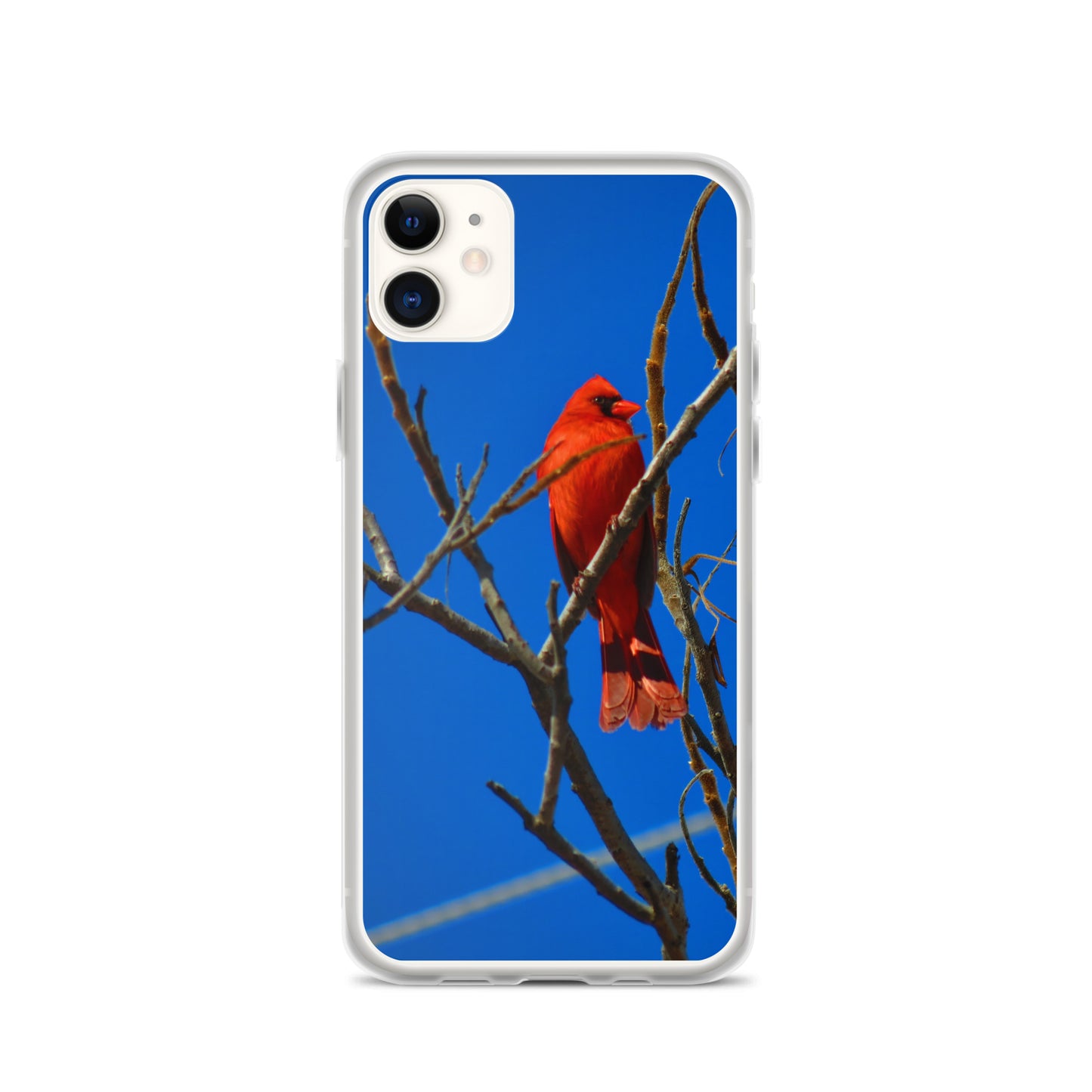 Étui transparent pour iPhone® - Cardinal rouge