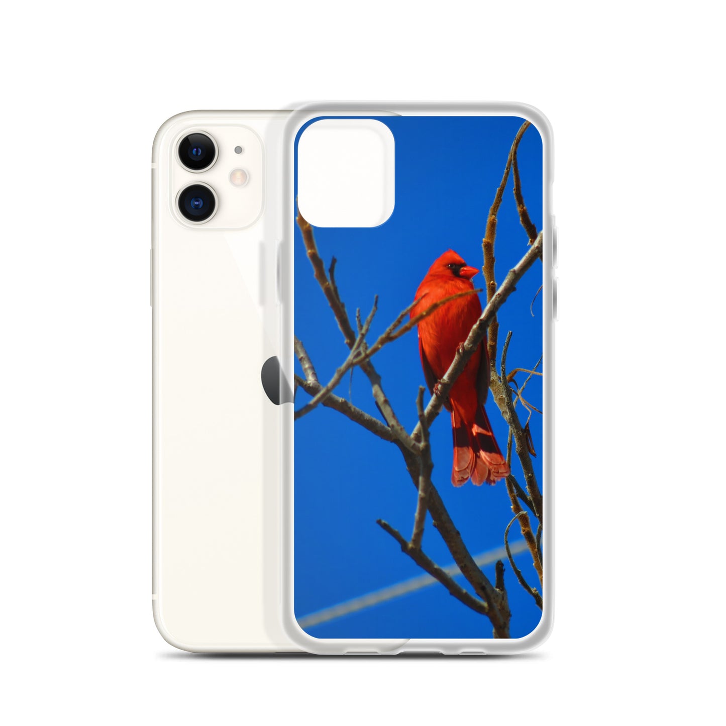 Étui transparent pour iPhone® - Cardinal rouge