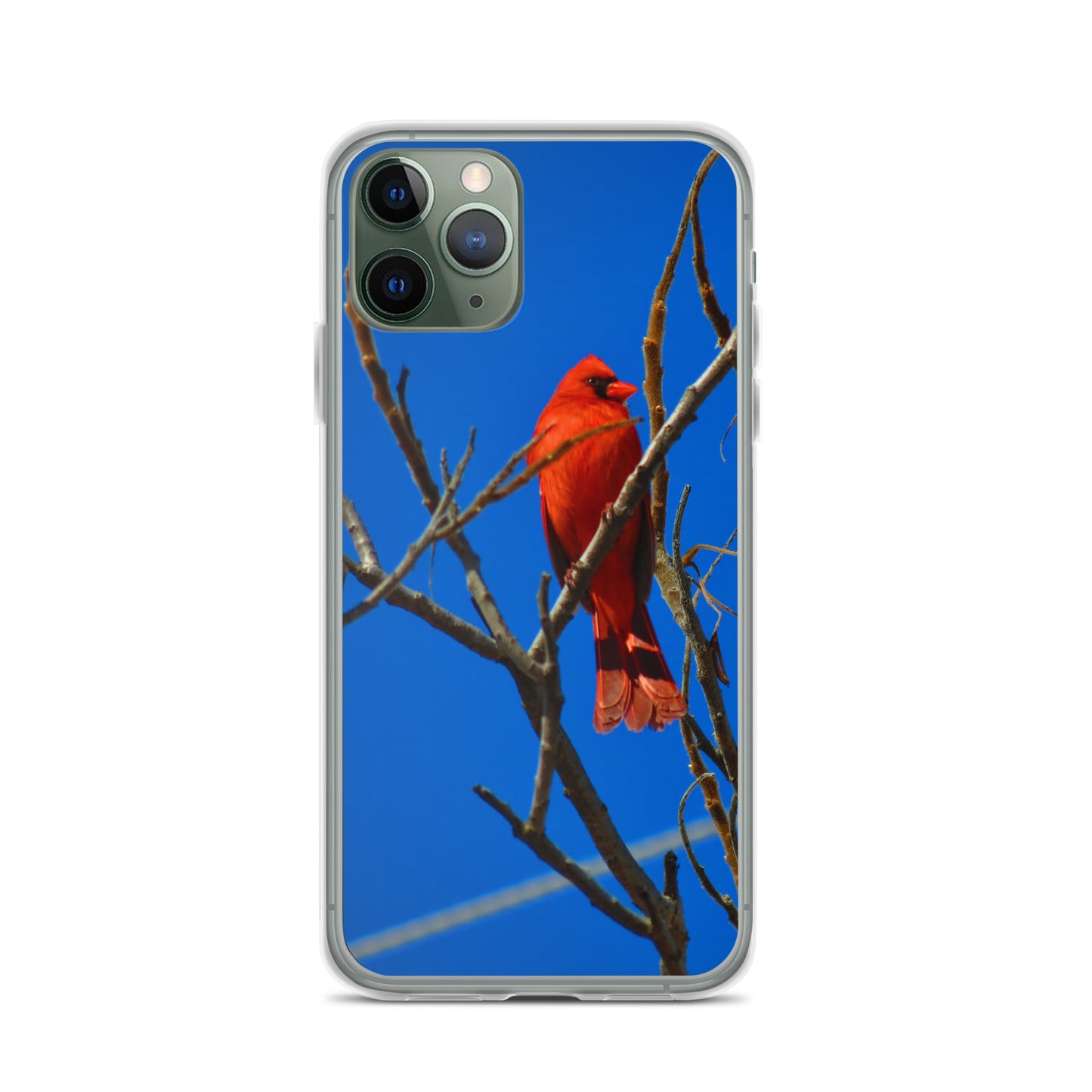 Étui transparent pour iPhone® - Cardinal rouge