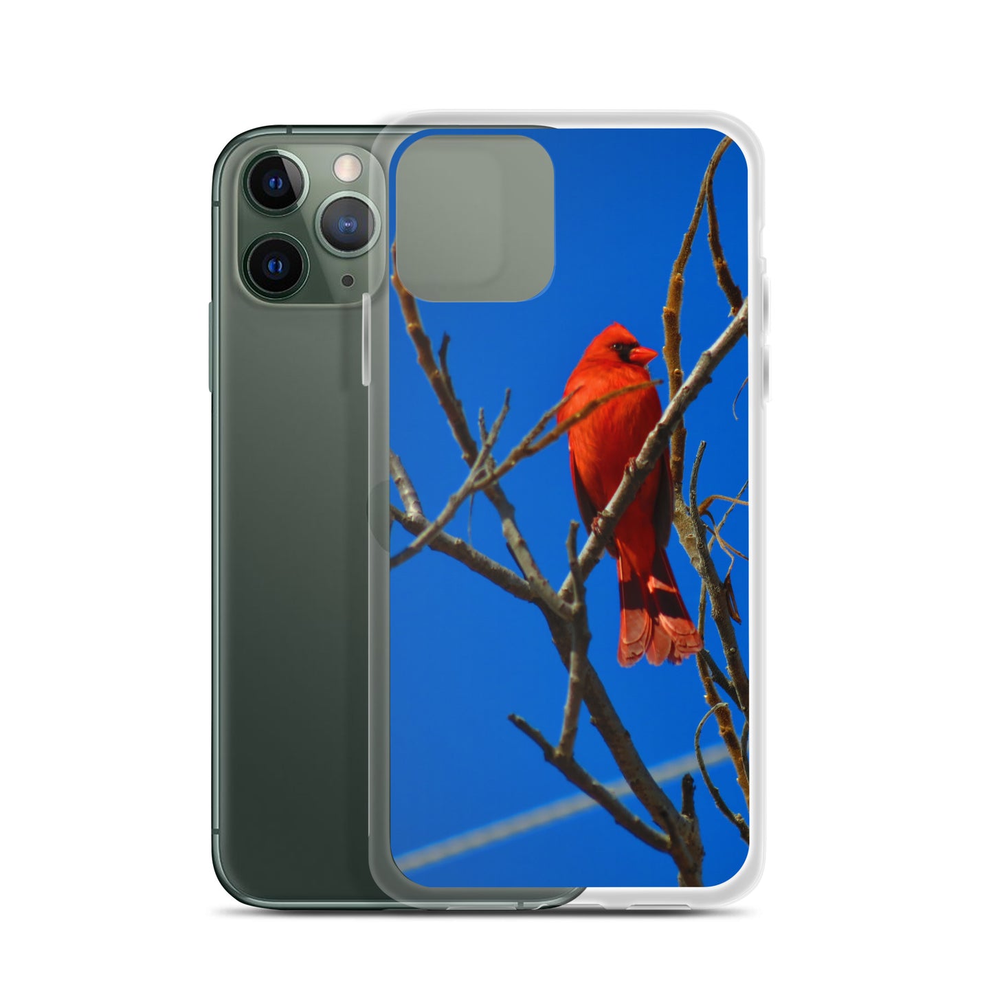 Étui transparent pour iPhone® - Cardinal rouge