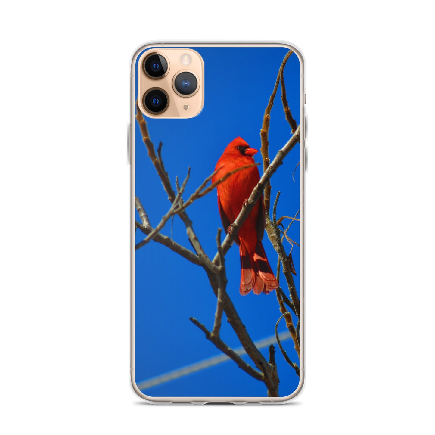 Étui transparent pour iPhone® - Cardinal rouge