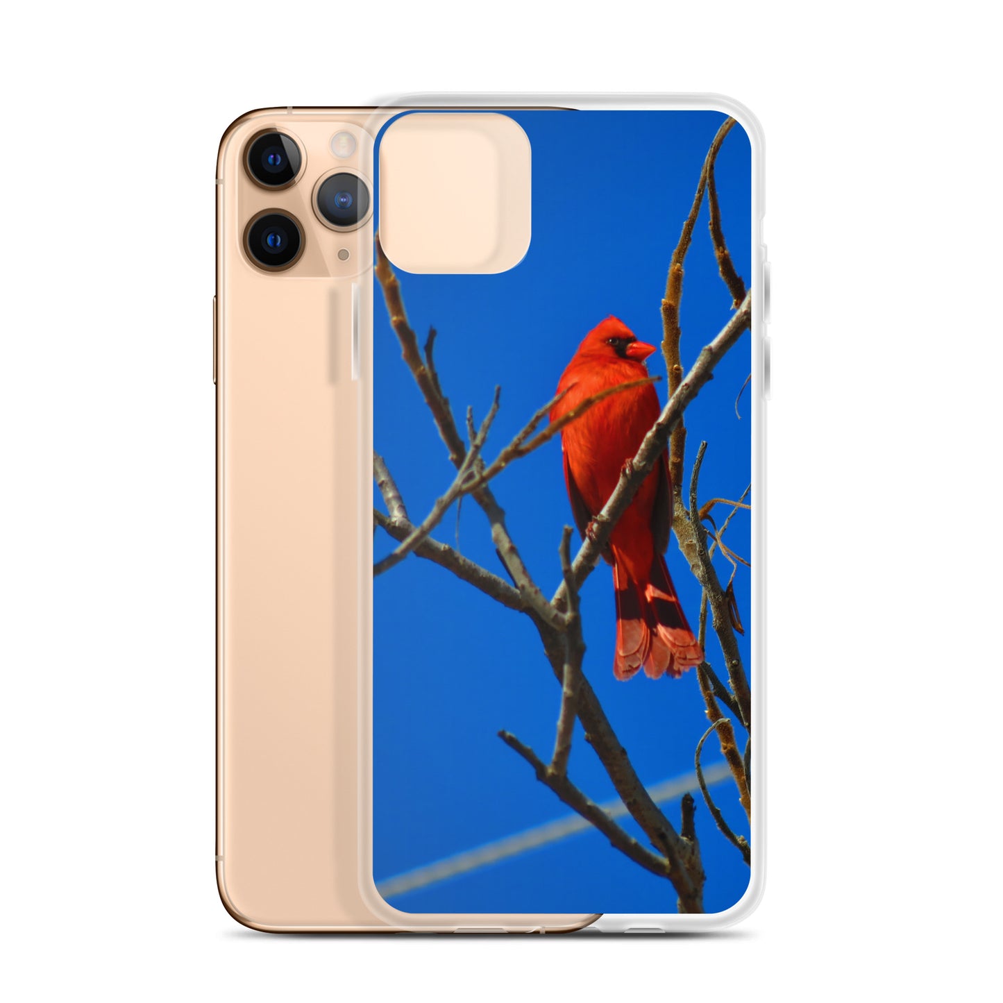 Étui transparent pour iPhone® - Cardinal rouge