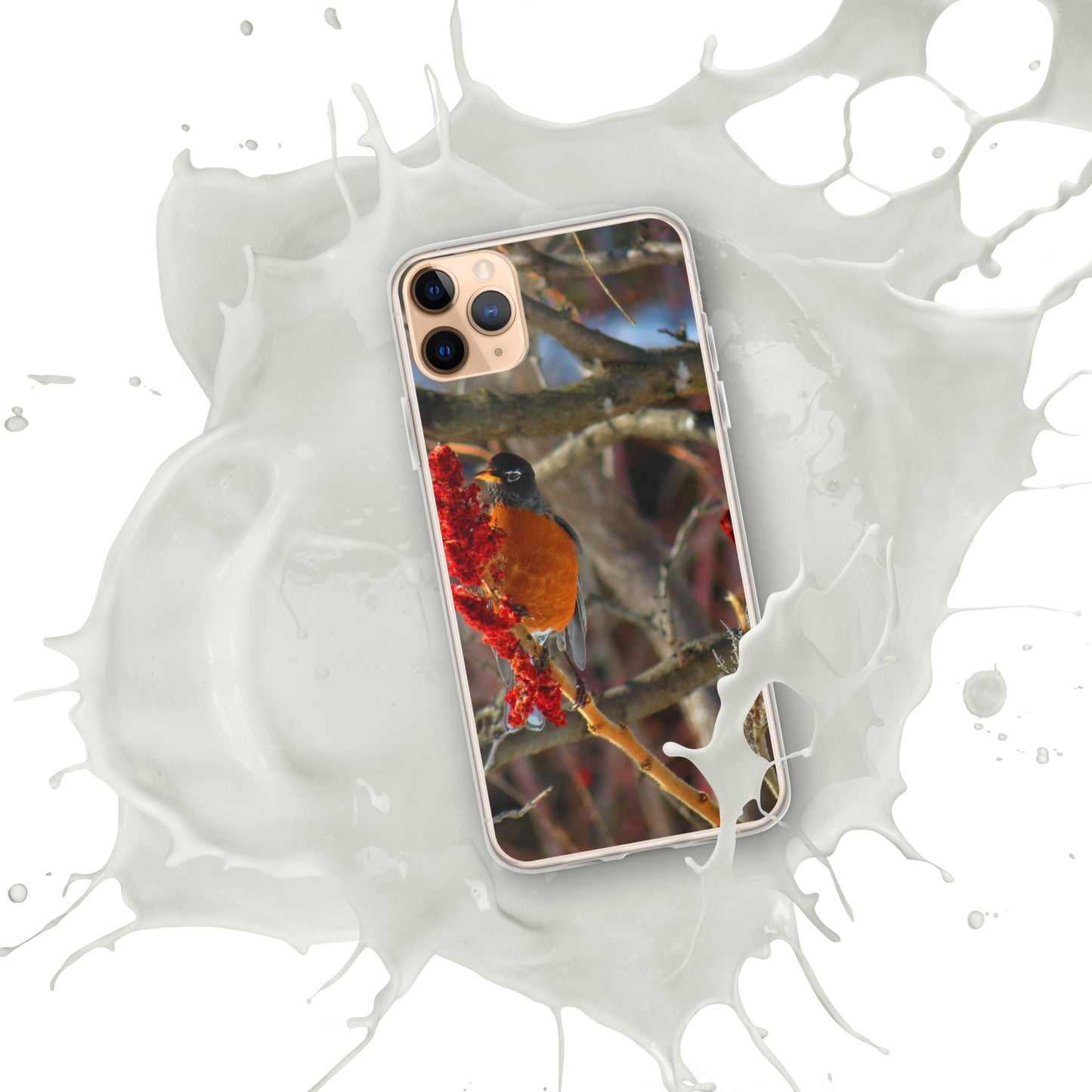 Coque transparente pour iPhone® - Snackin' Robin