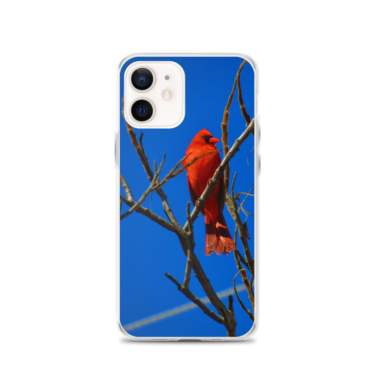 Clear Case for iPhone®- Red Cardinal