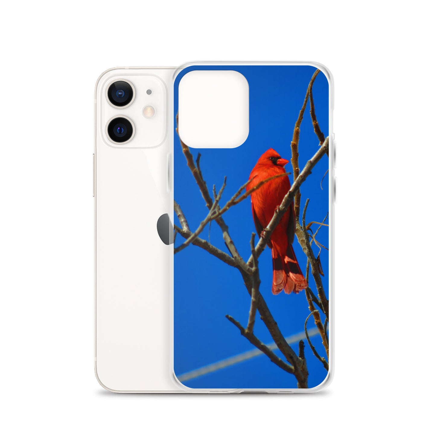 Étui transparent pour iPhone® - Cardinal rouge