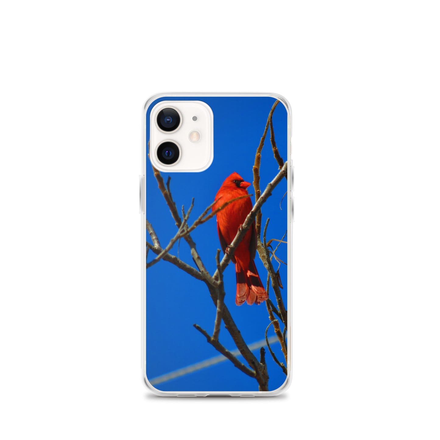 Étui transparent pour iPhone® - Cardinal rouge