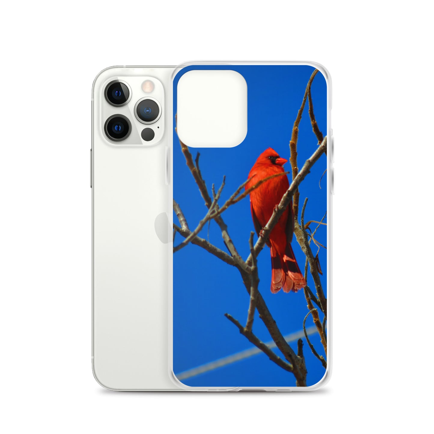 Étui transparent pour iPhone® - Cardinal rouge