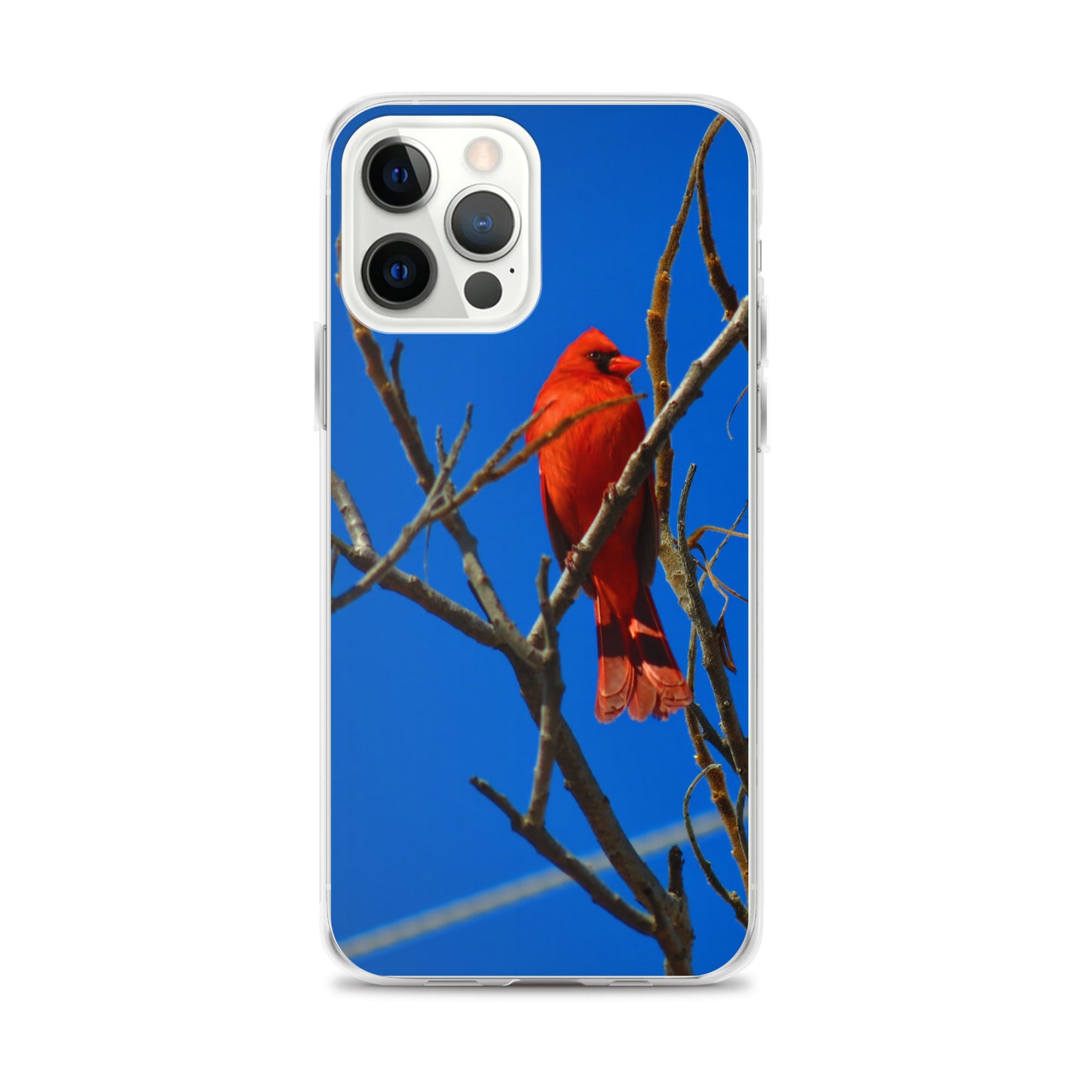 Clear Case for iPhone®- Red Cardinal