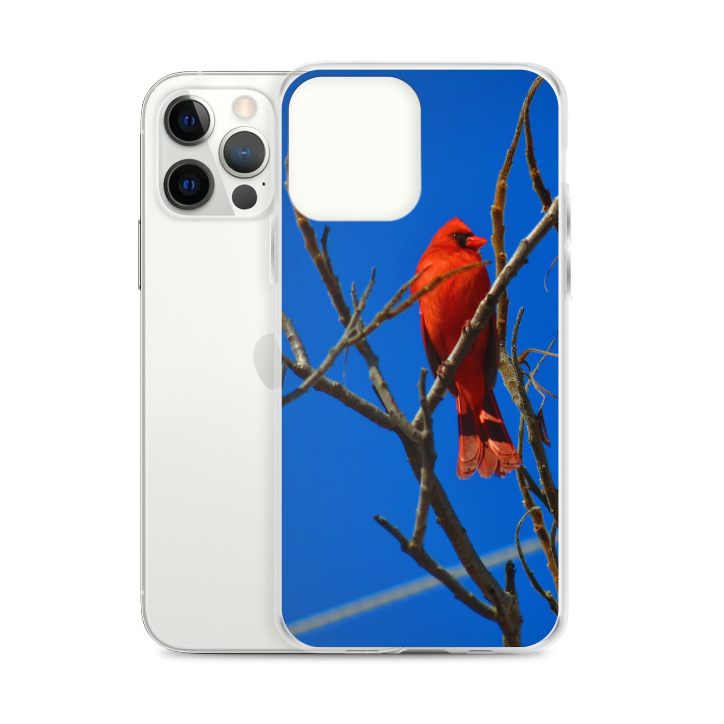 Étui transparent pour iPhone® - Cardinal rouge