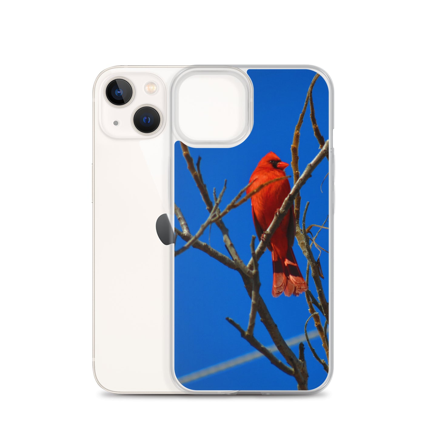 Étui transparent pour iPhone® - Cardinal rouge