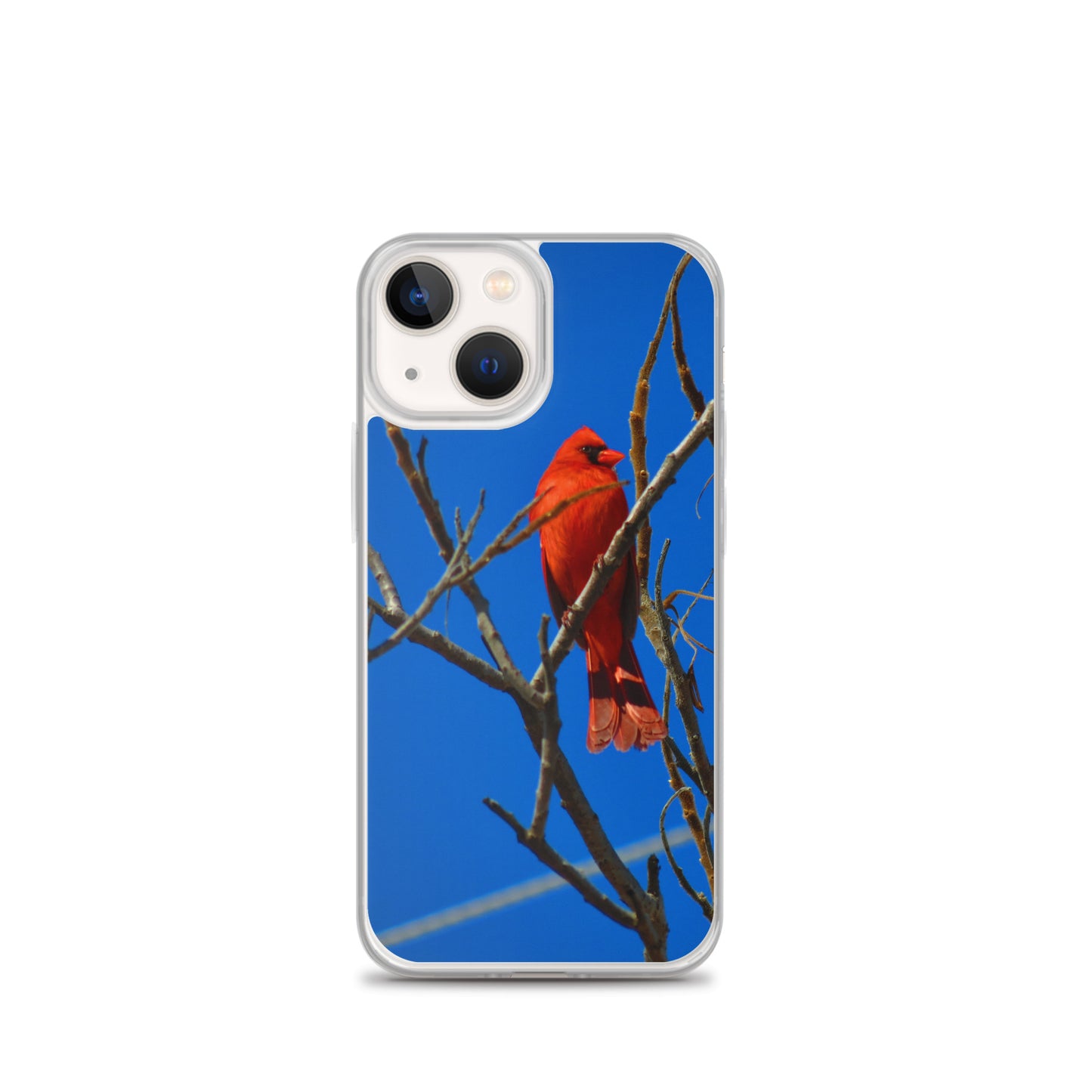 Étui transparent pour iPhone® - Cardinal rouge