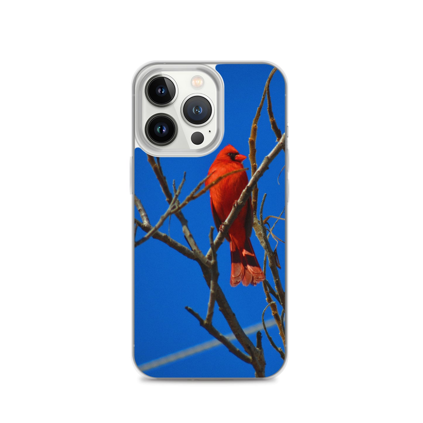 Clear Case for iPhone®- Red Cardinal