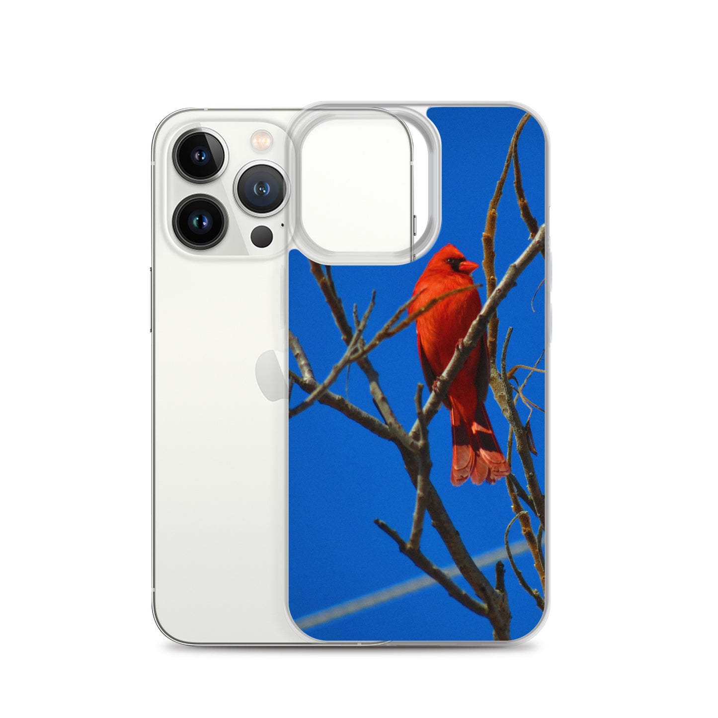 Clear Case for iPhone®- Red Cardinal