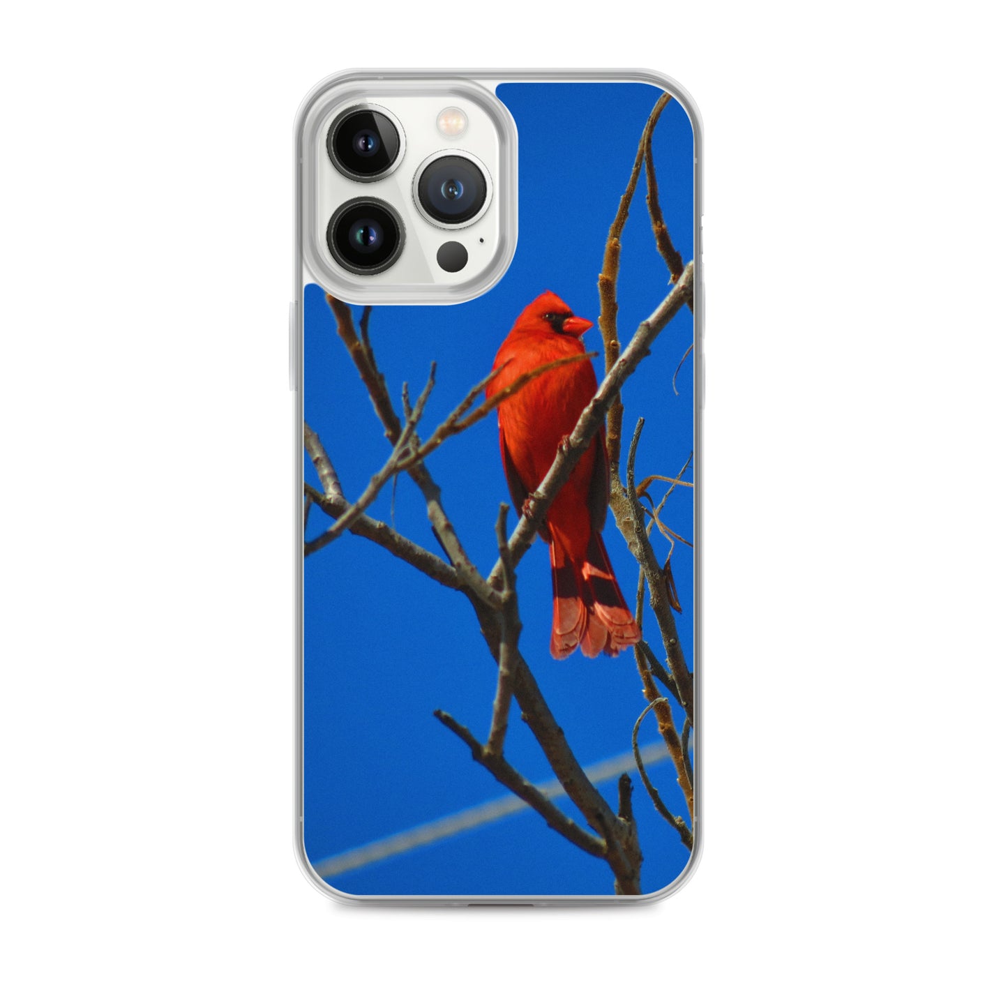 Clear Case for iPhone®- Red Cardinal