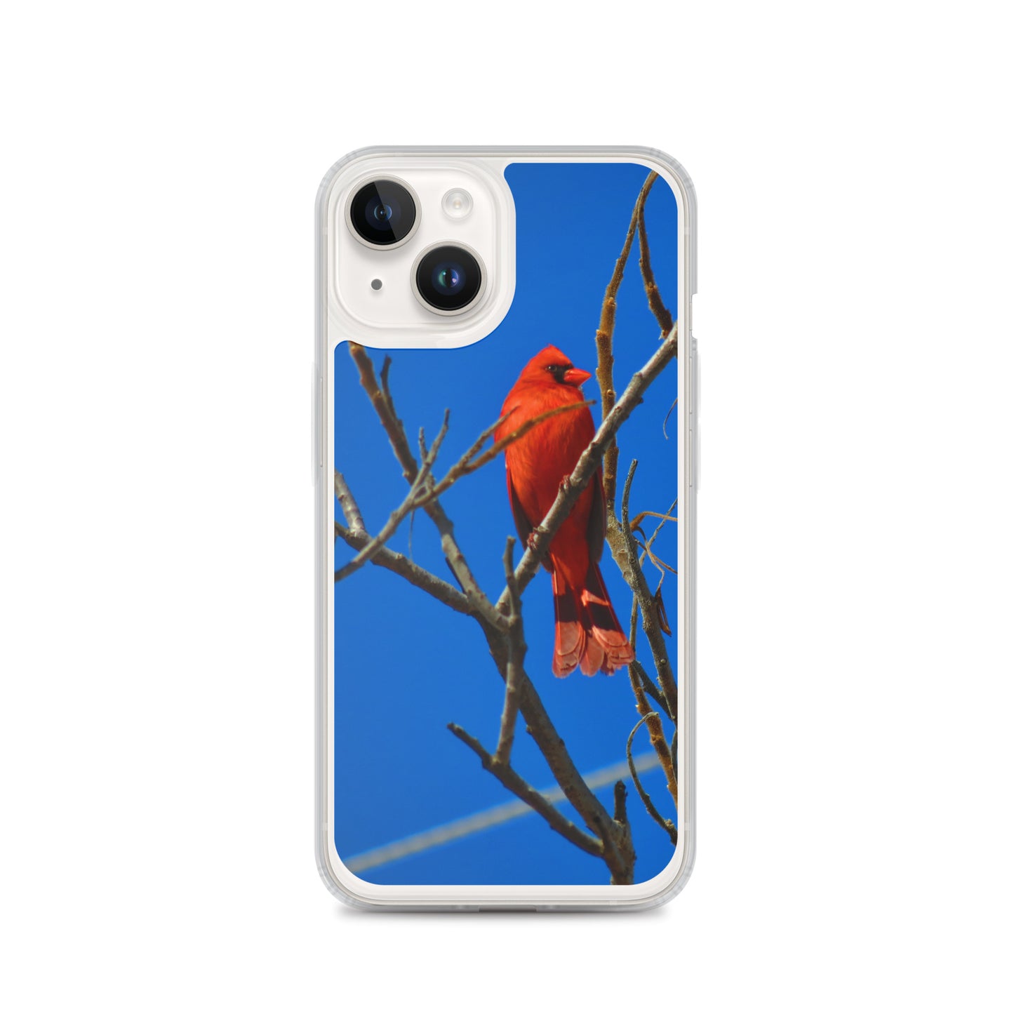 Étui transparent pour iPhone® - Cardinal rouge