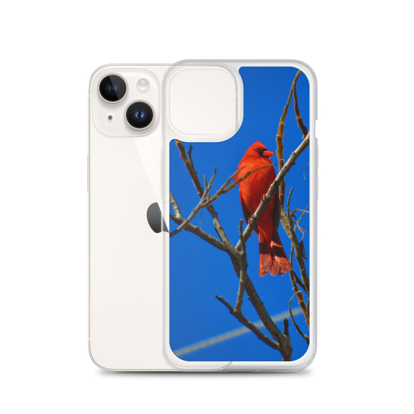 Étui transparent pour iPhone® - Cardinal rouge