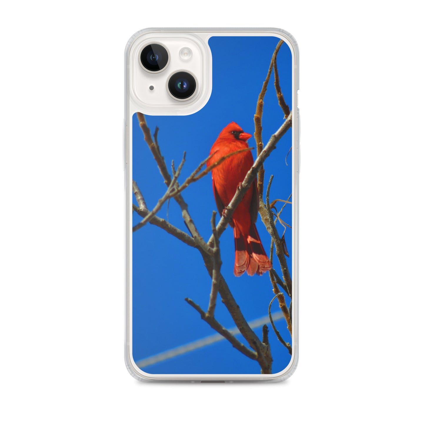 Clear Case for iPhone®- Red Cardinal