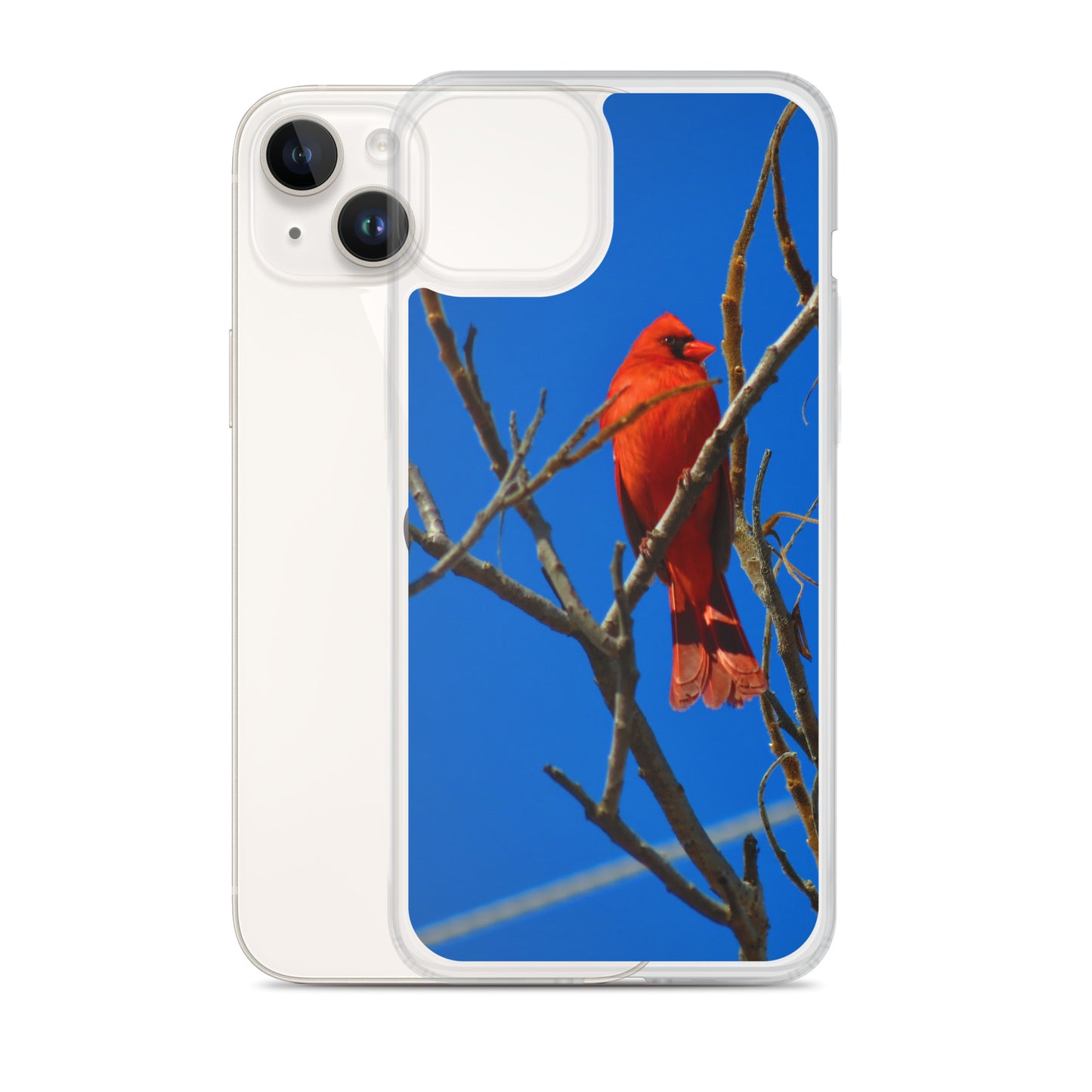 Étui transparent pour iPhone® - Cardinal rouge