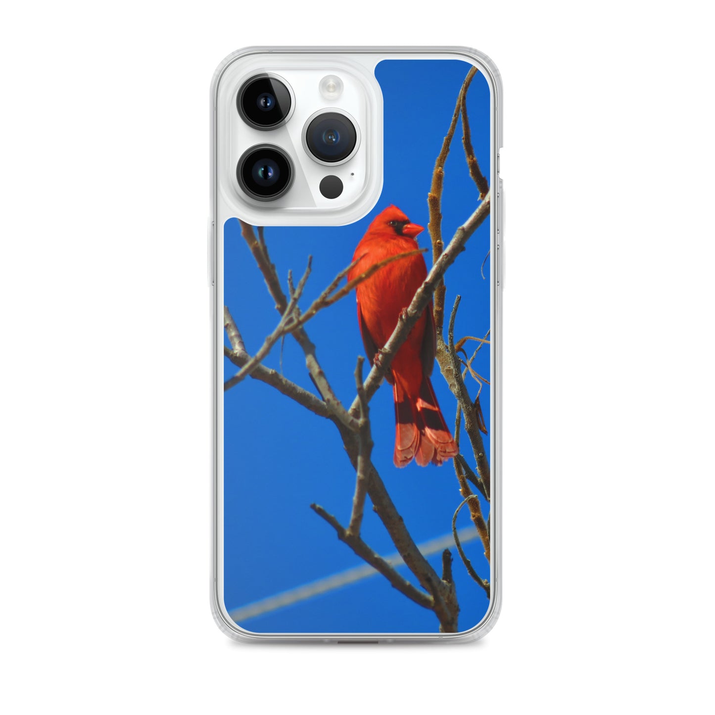 Clear Case for iPhone®- Red Cardinal