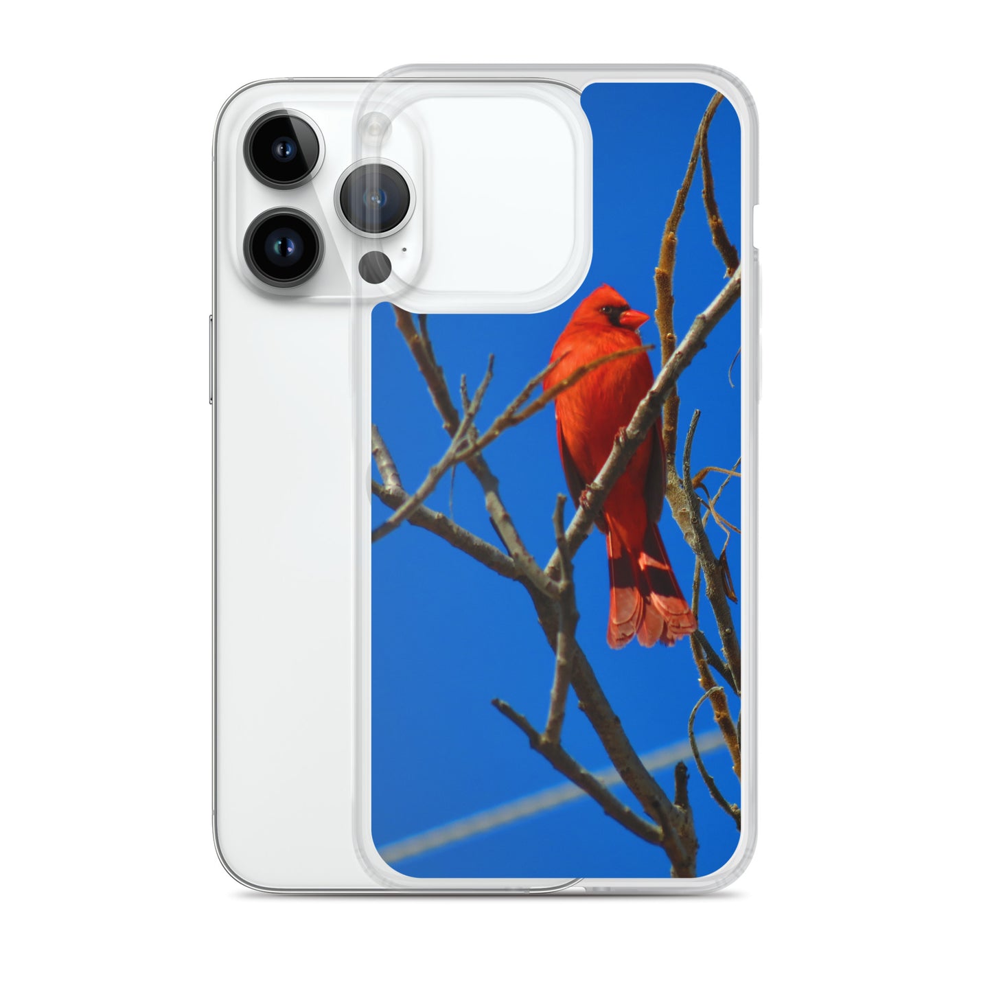 Clear Case for iPhone®- Red Cardinal