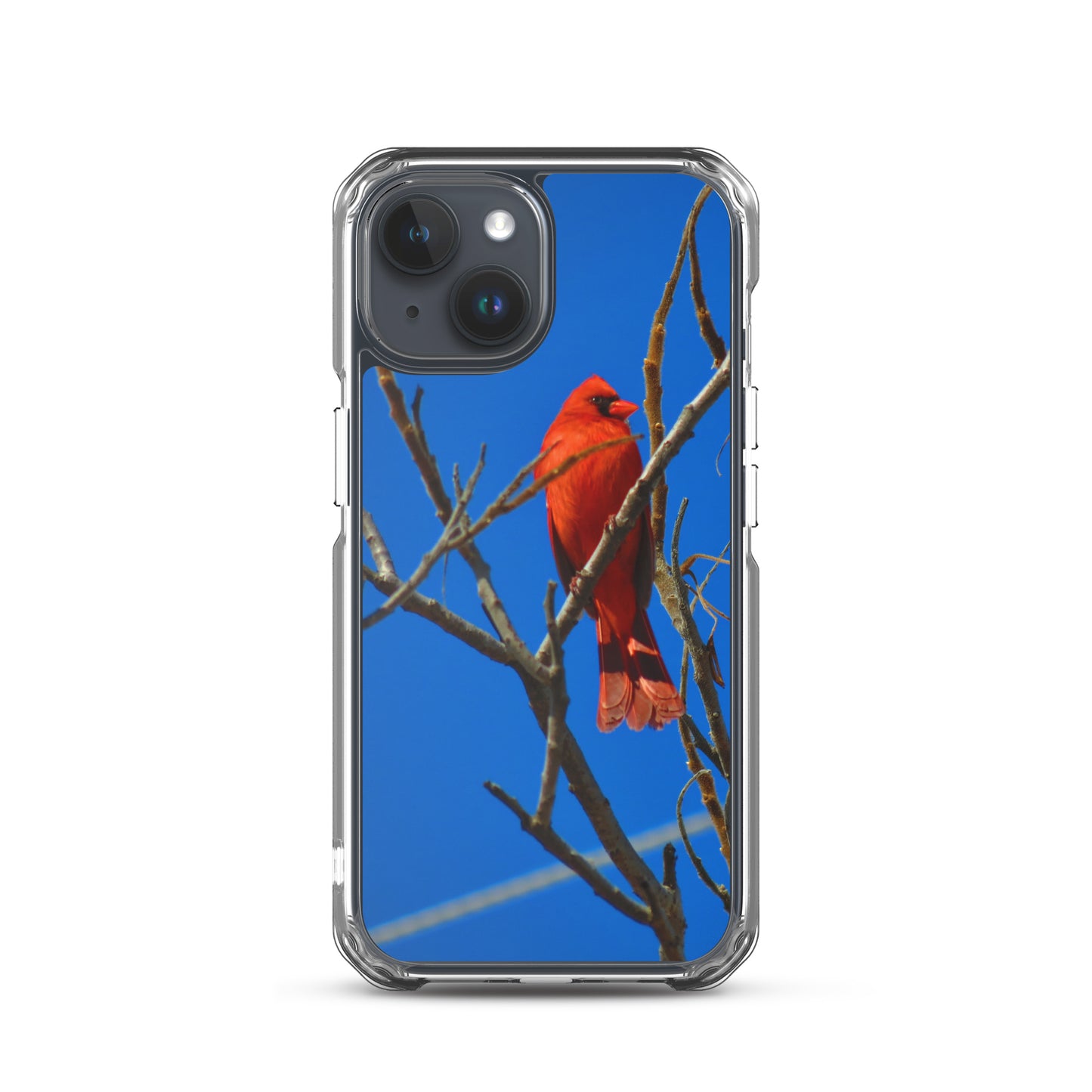 Étui transparent pour iPhone® - Cardinal rouge