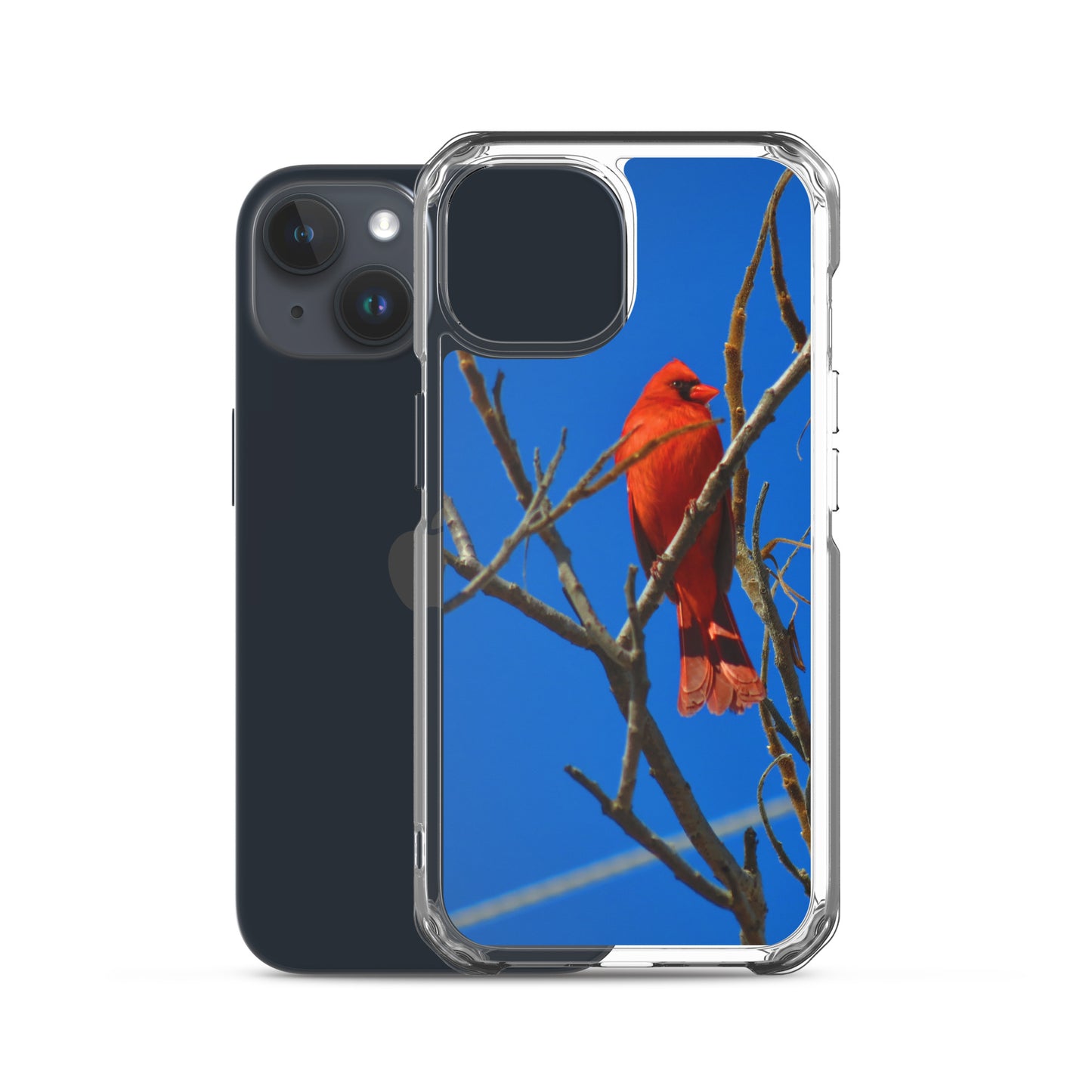 Étui transparent pour iPhone® - Cardinal rouge