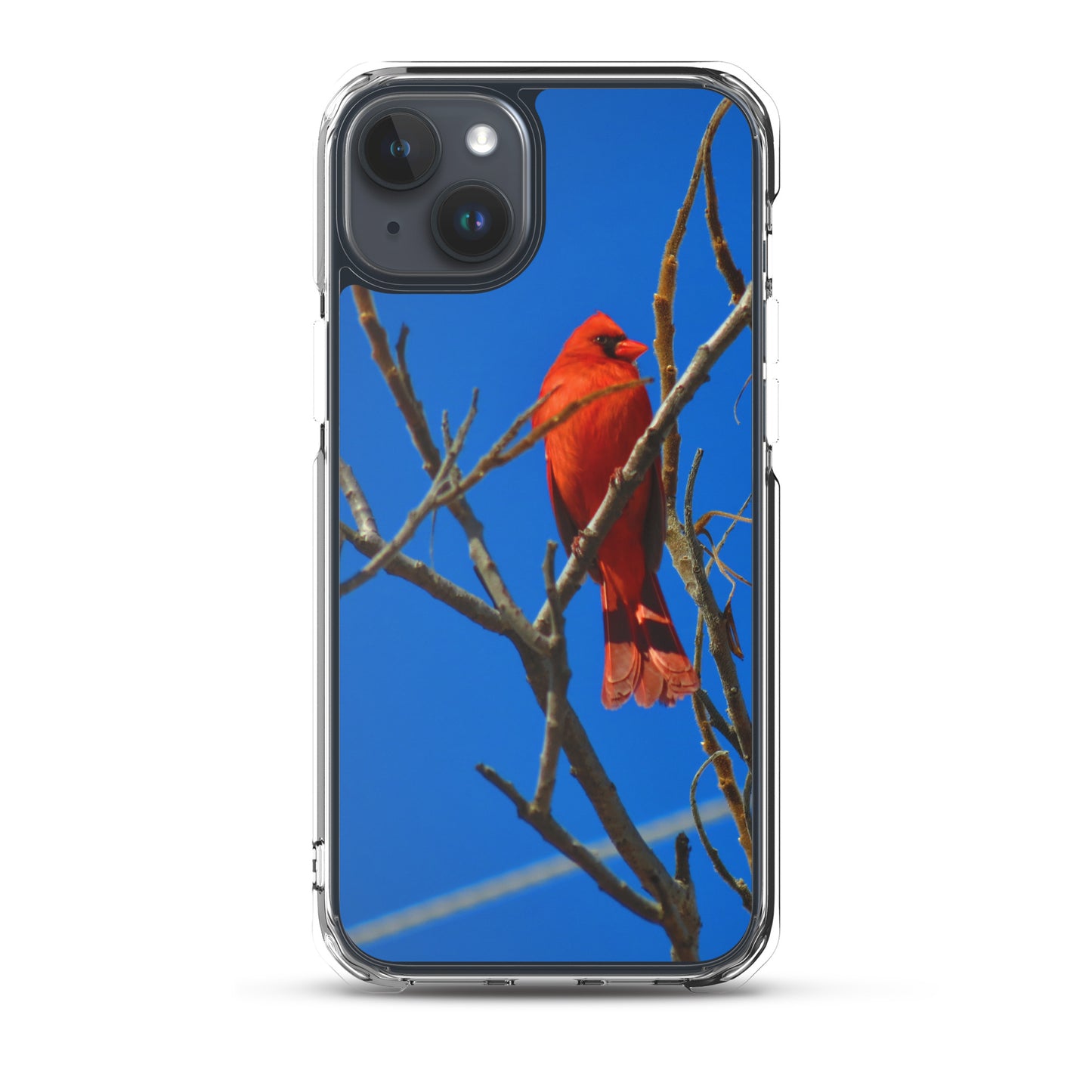 Étui transparent pour iPhone® - Cardinal rouge