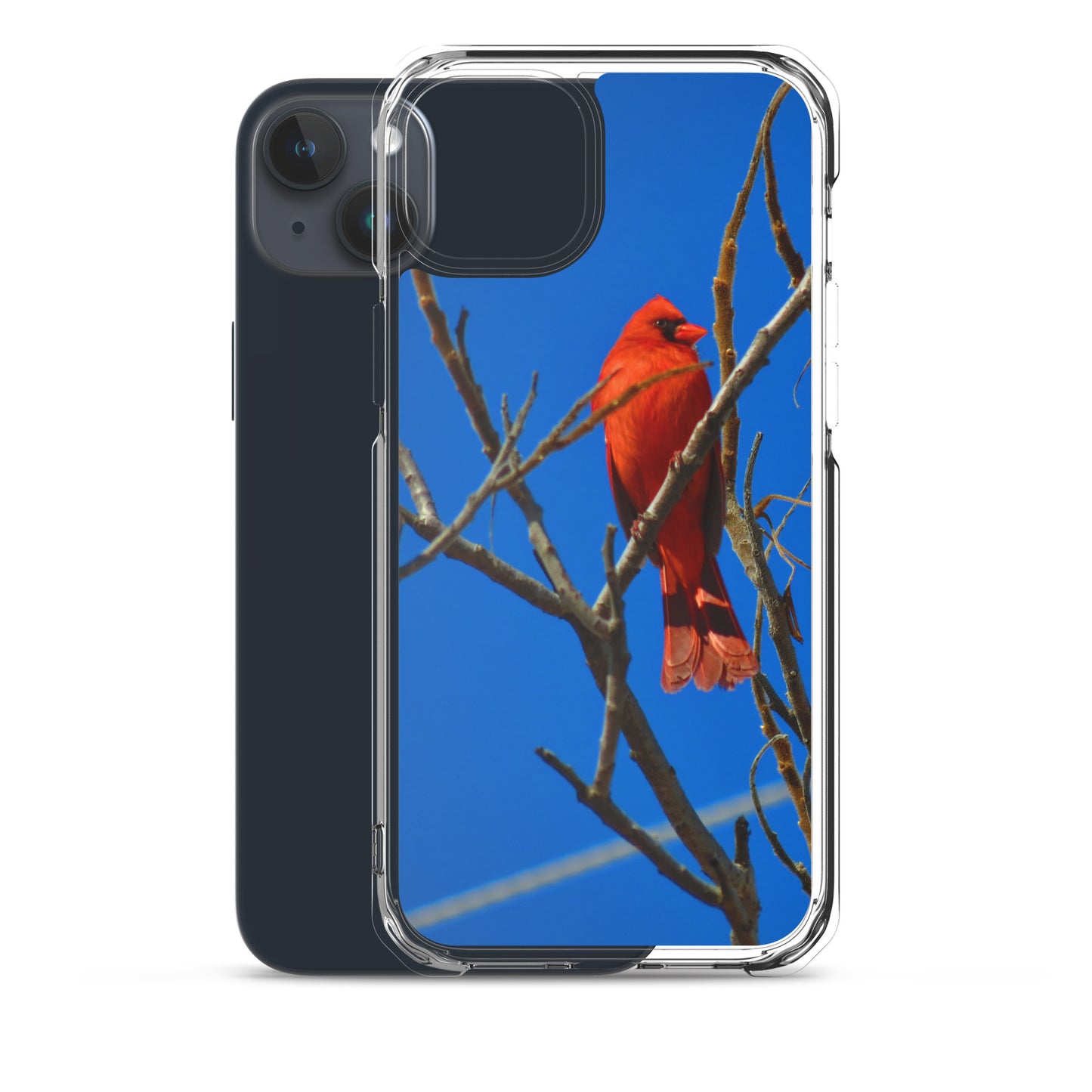 Étui transparent pour iPhone® - Cardinal rouge