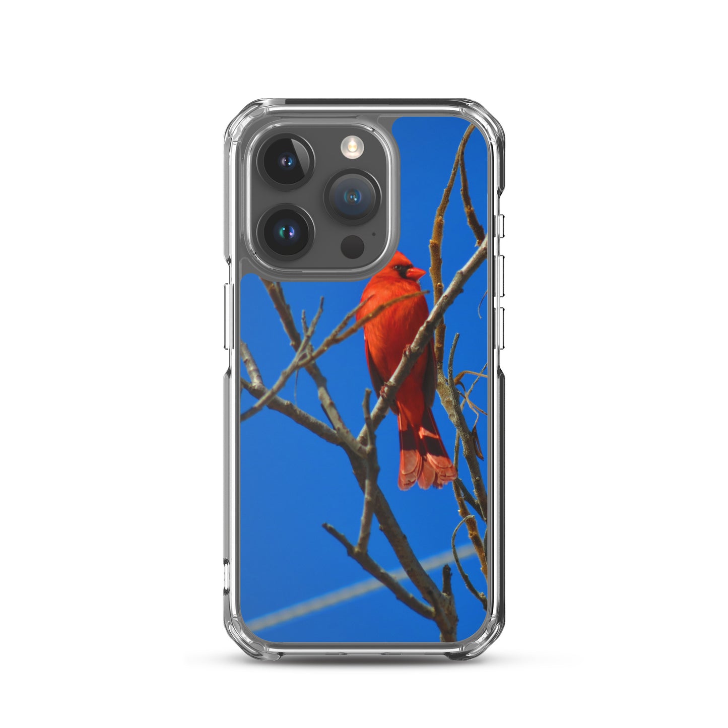 Étui transparent pour iPhone® - Cardinal rouge