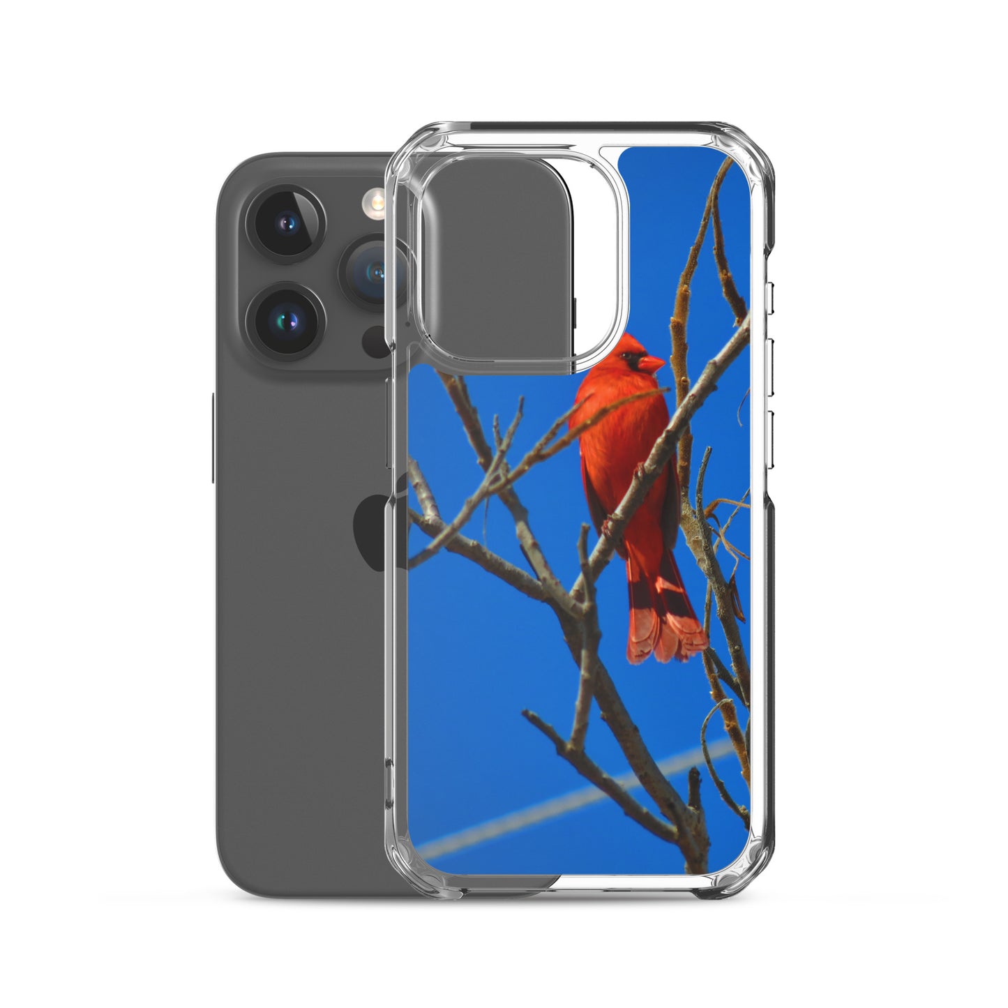 Étui transparent pour iPhone® - Cardinal rouge