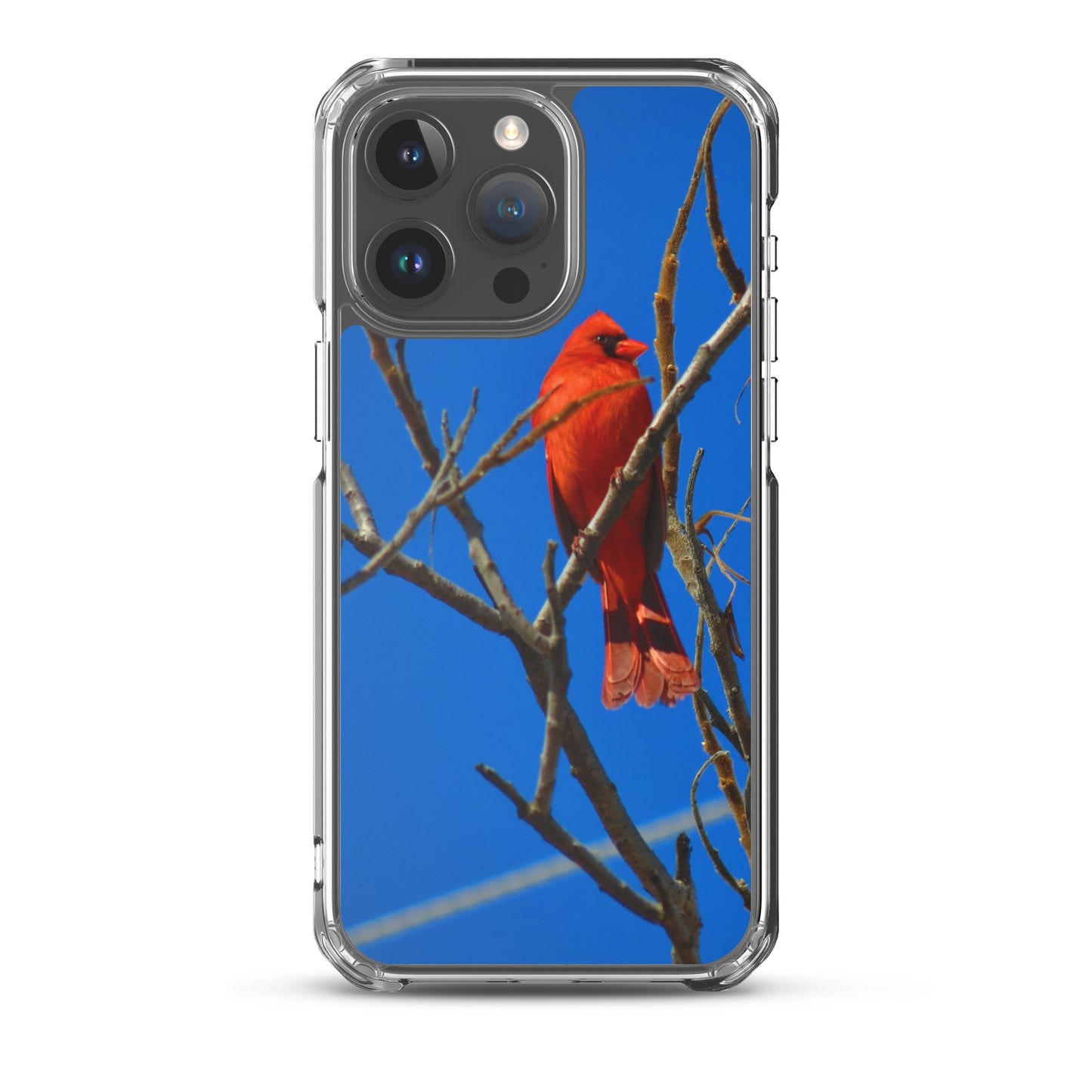 Étui transparent pour iPhone® - Cardinal rouge