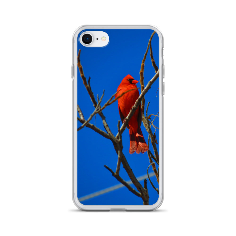 Étui transparent pour iPhone® - Cardinal rouge