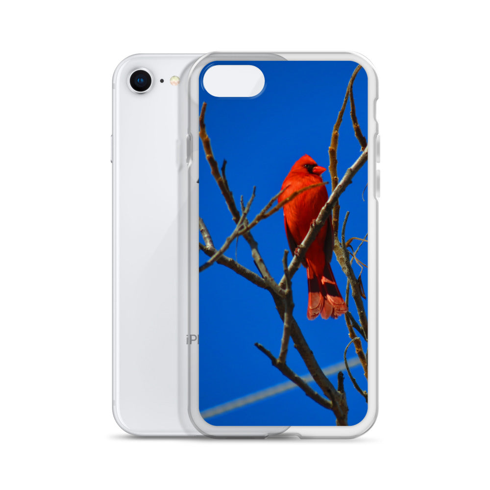 Clear Case for iPhone®- Red Cardinal