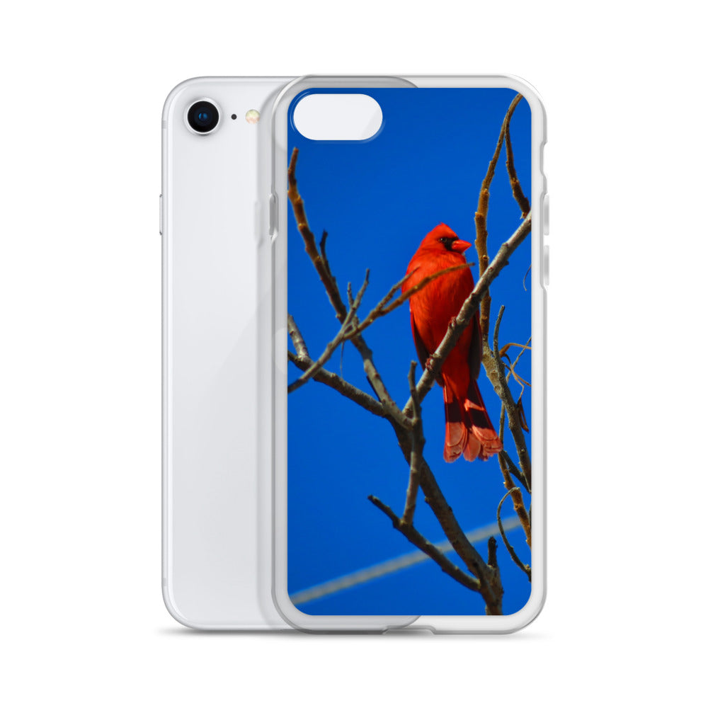 Étui transparent pour iPhone® - Cardinal rouge