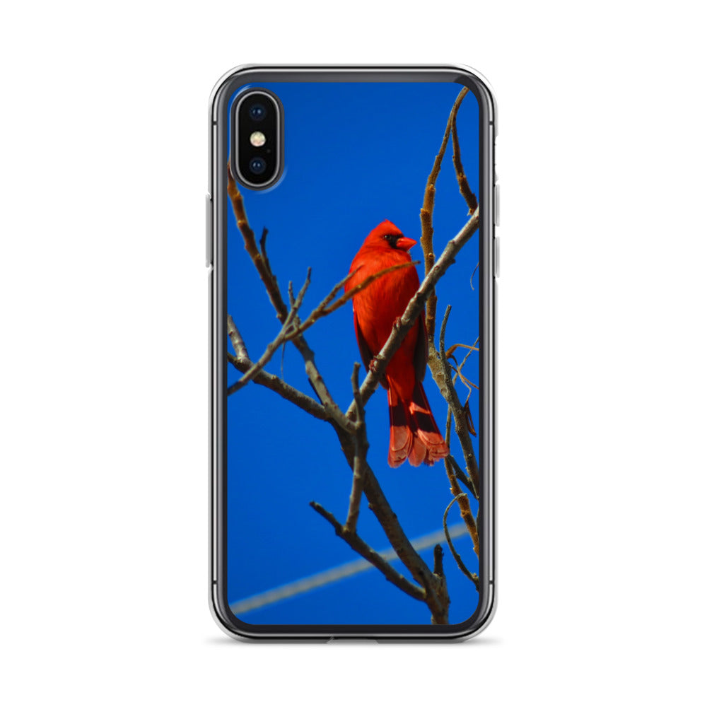 Étui transparent pour iPhone® - Cardinal rouge