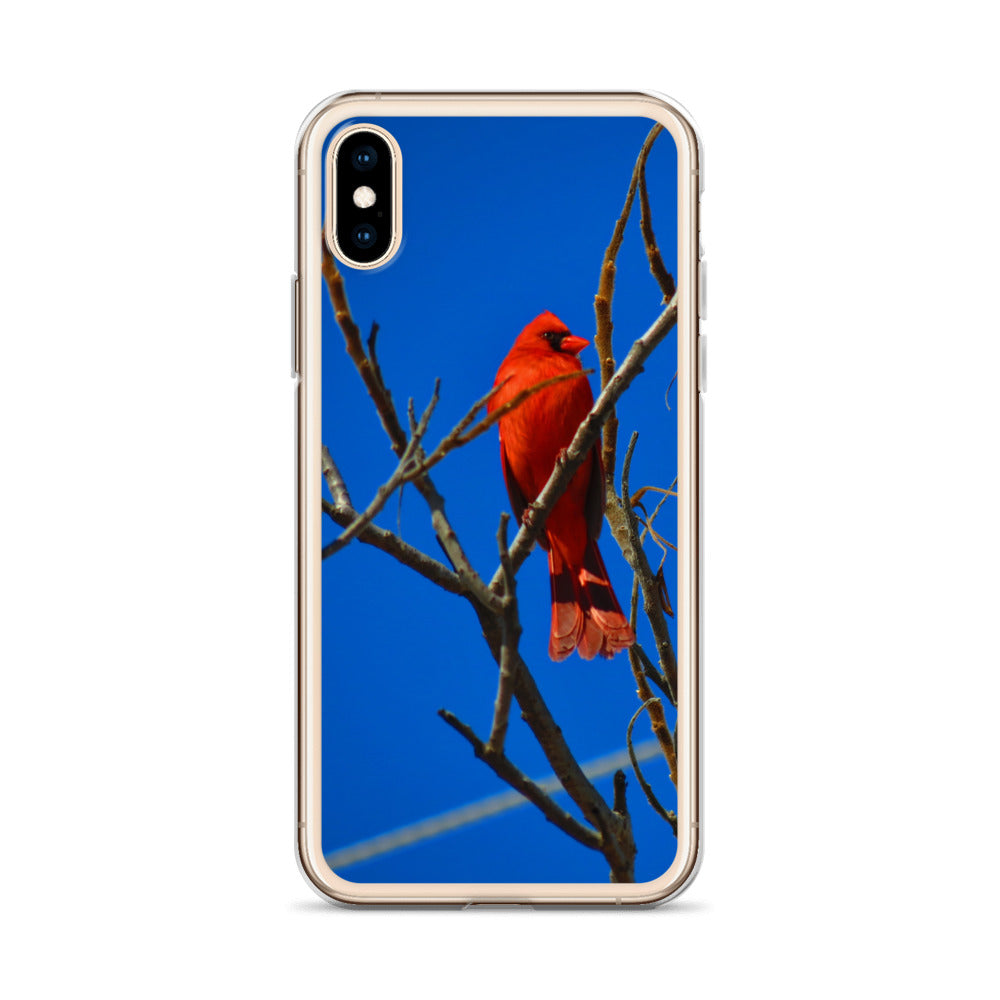 Étui transparent pour iPhone® - Cardinal rouge