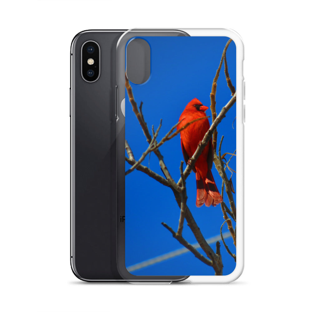 Étui transparent pour iPhone® - Cardinal rouge