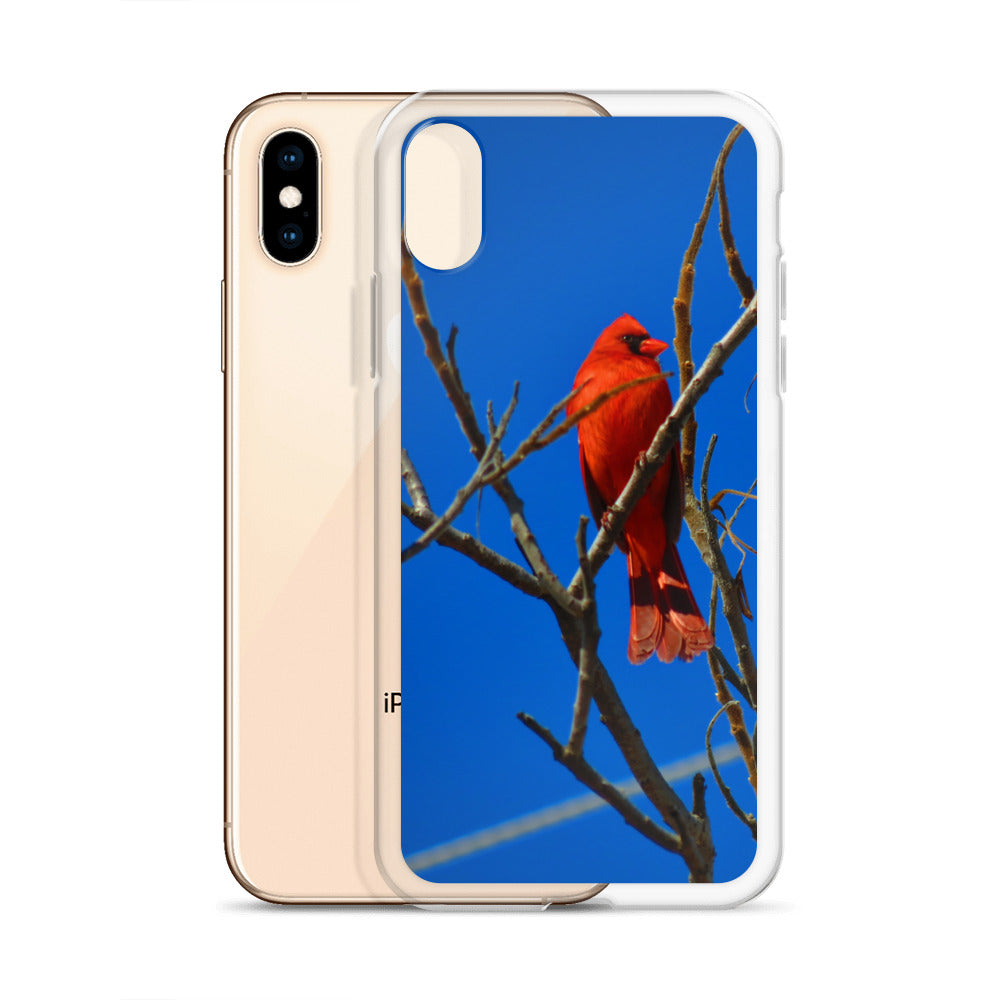 Étui transparent pour iPhone® - Cardinal rouge