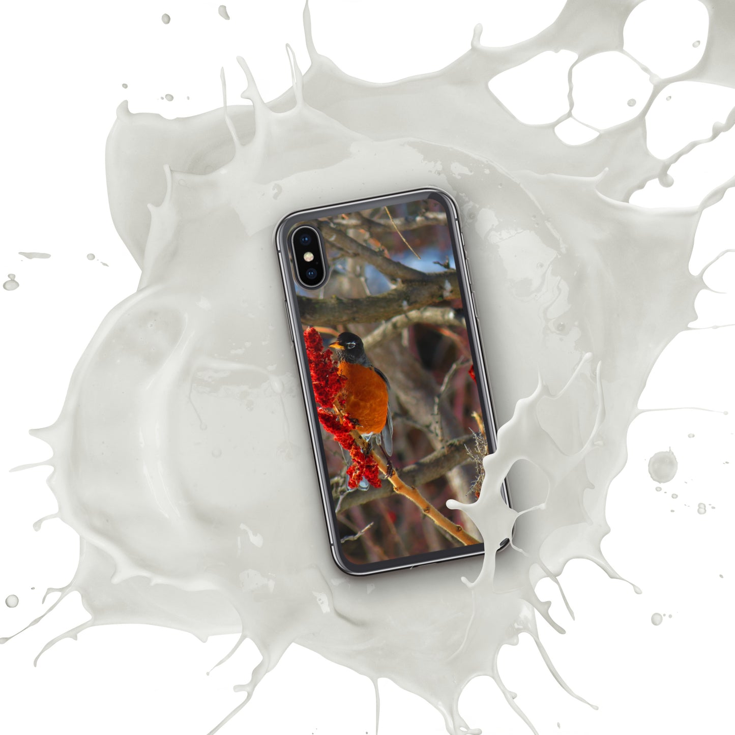 Coque transparente pour iPhone® - Snackin' Robin