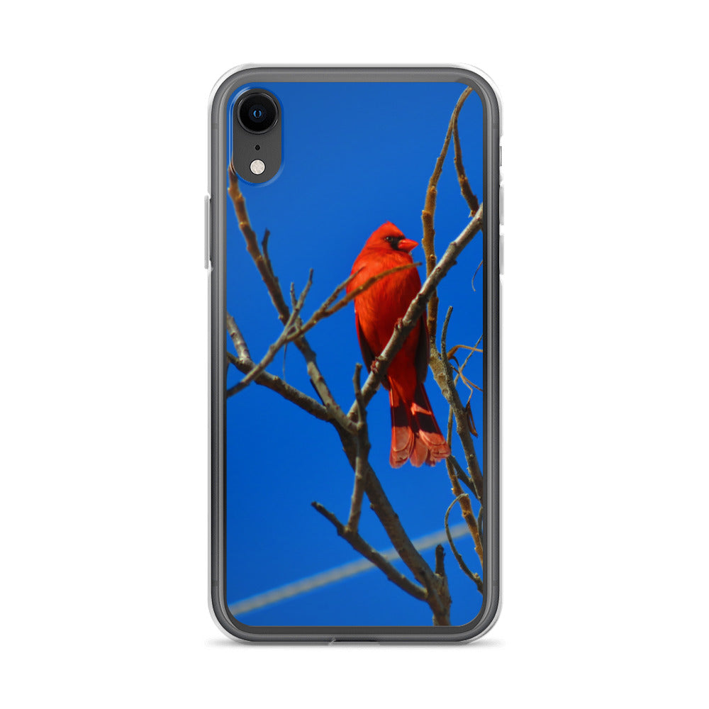 Étui transparent pour iPhone® - Cardinal rouge