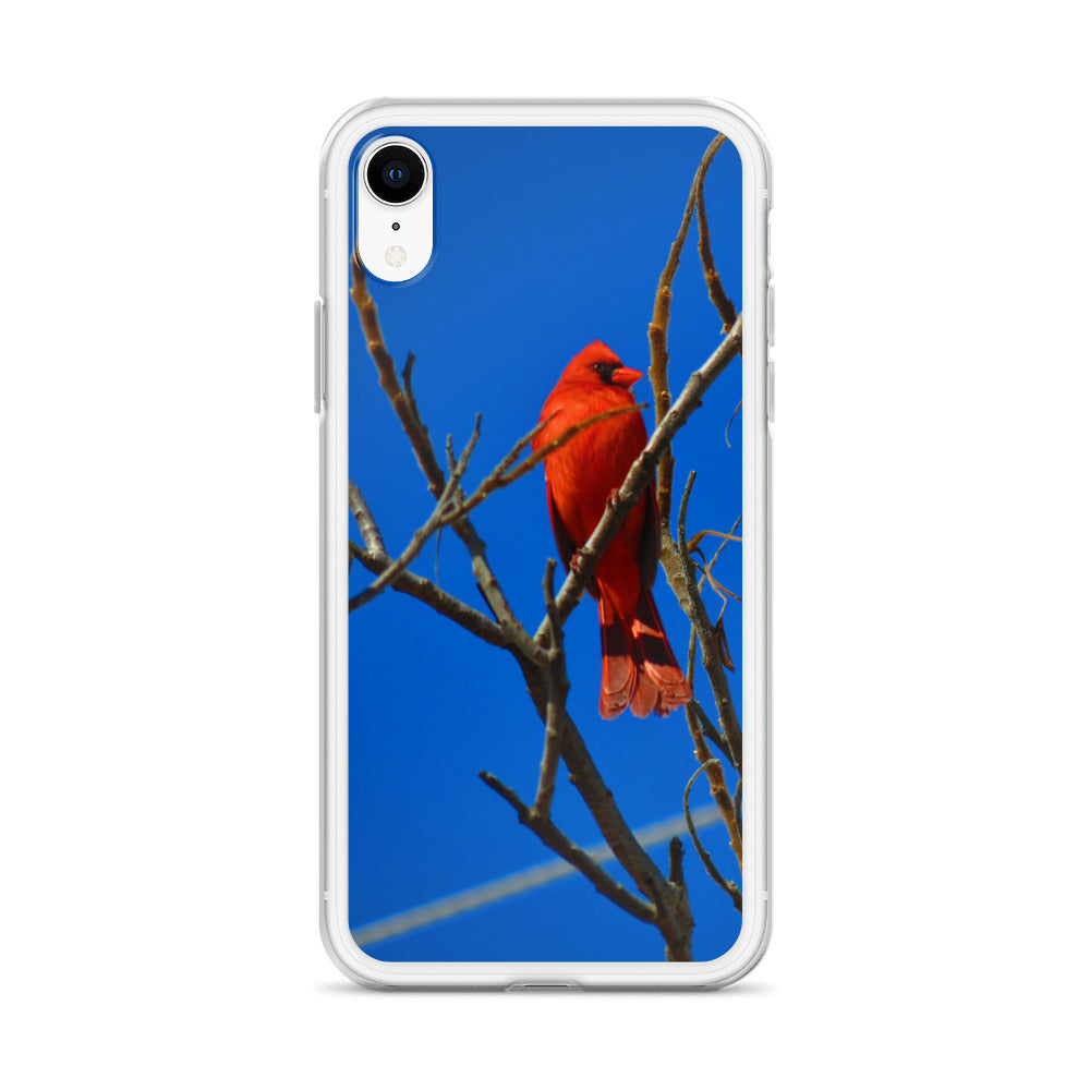 Étui transparent pour iPhone® - Cardinal rouge