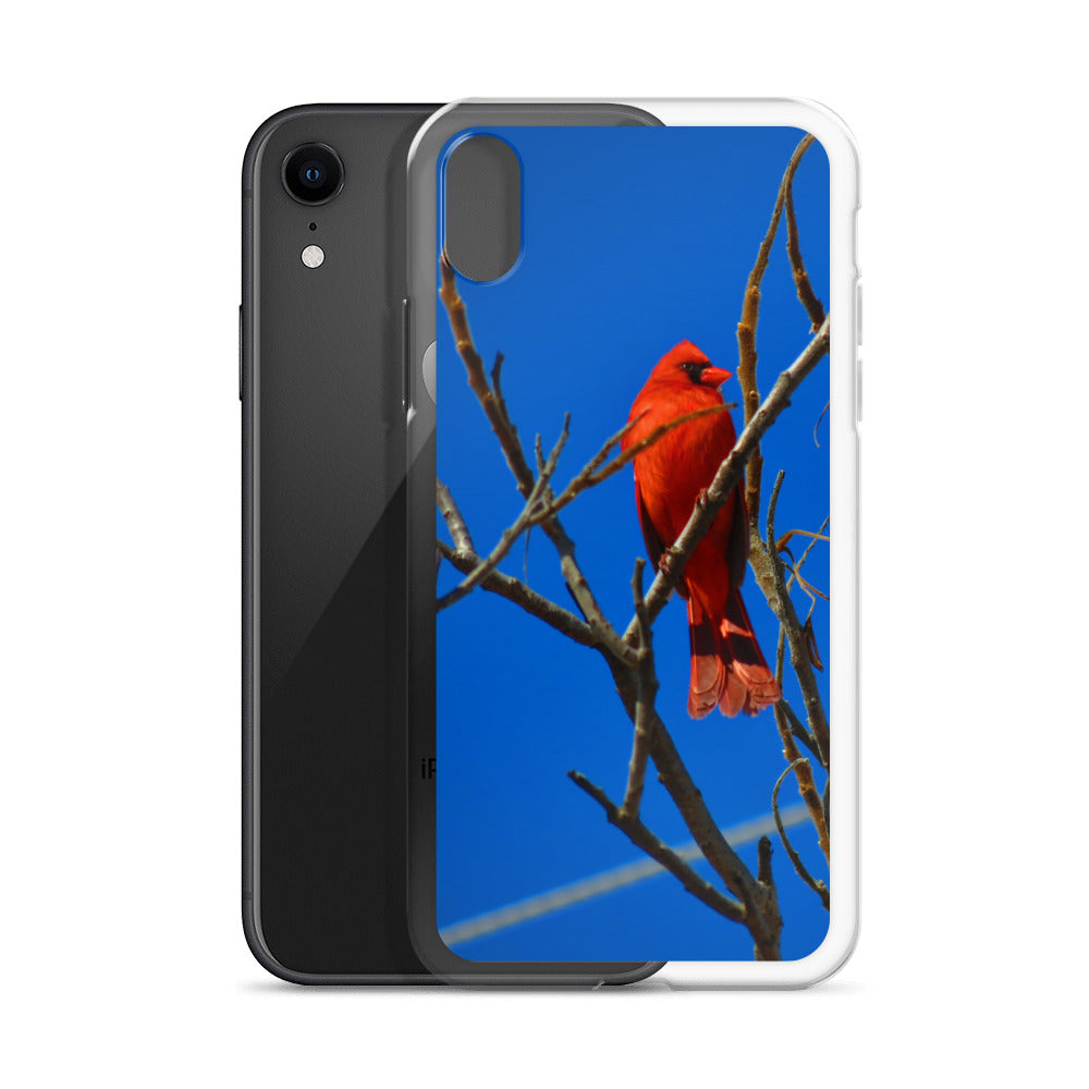 Étui transparent pour iPhone® - Cardinal rouge