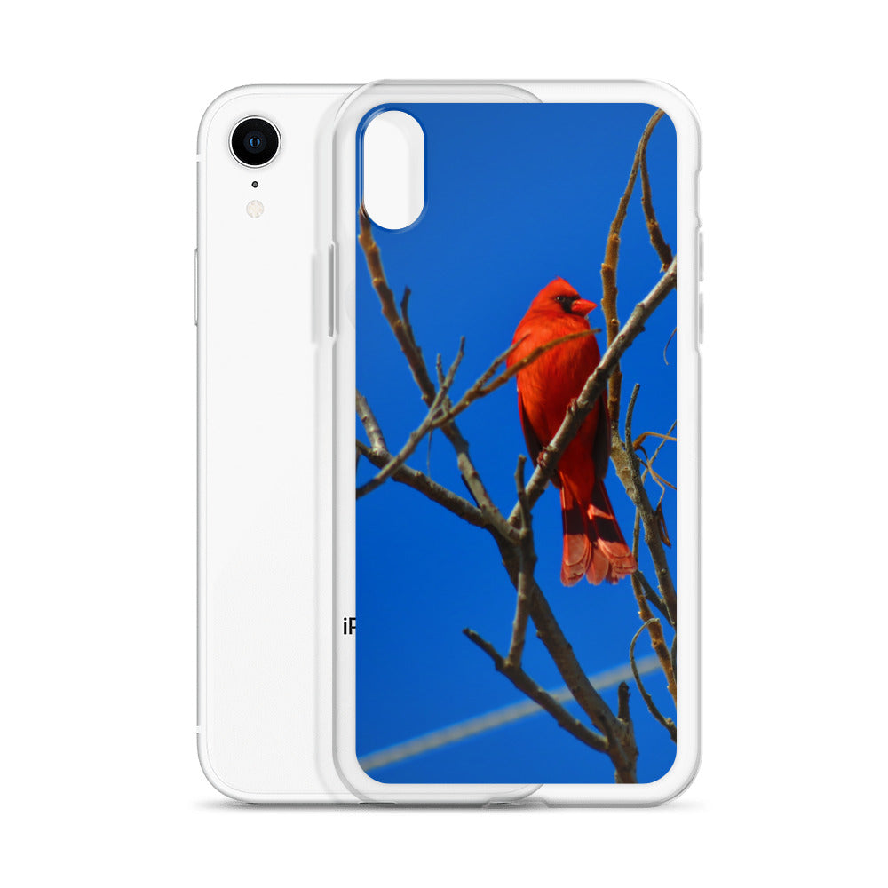 Étui transparent pour iPhone® - Cardinal rouge