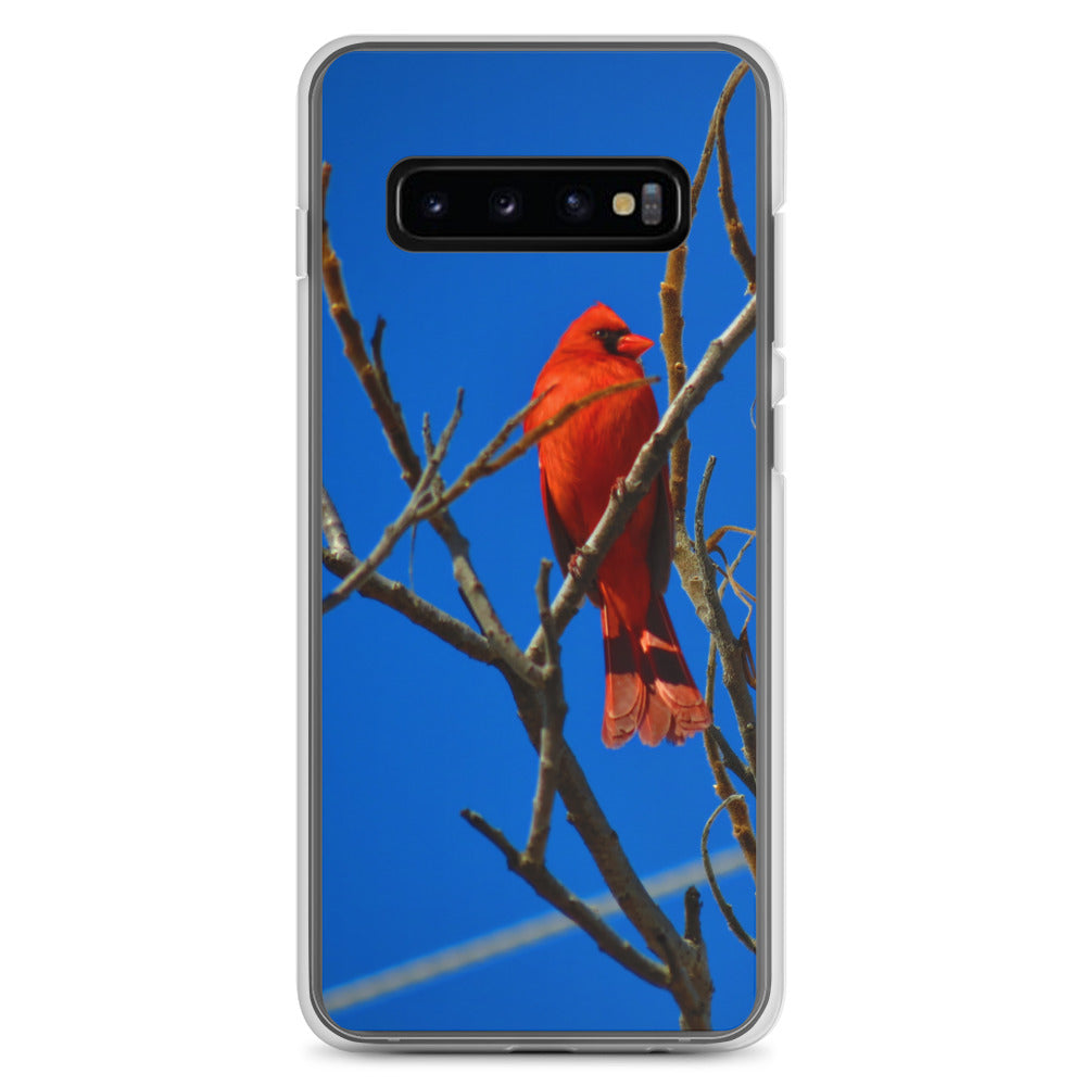 Funda transparente para Samsung® - Cardenal rojo